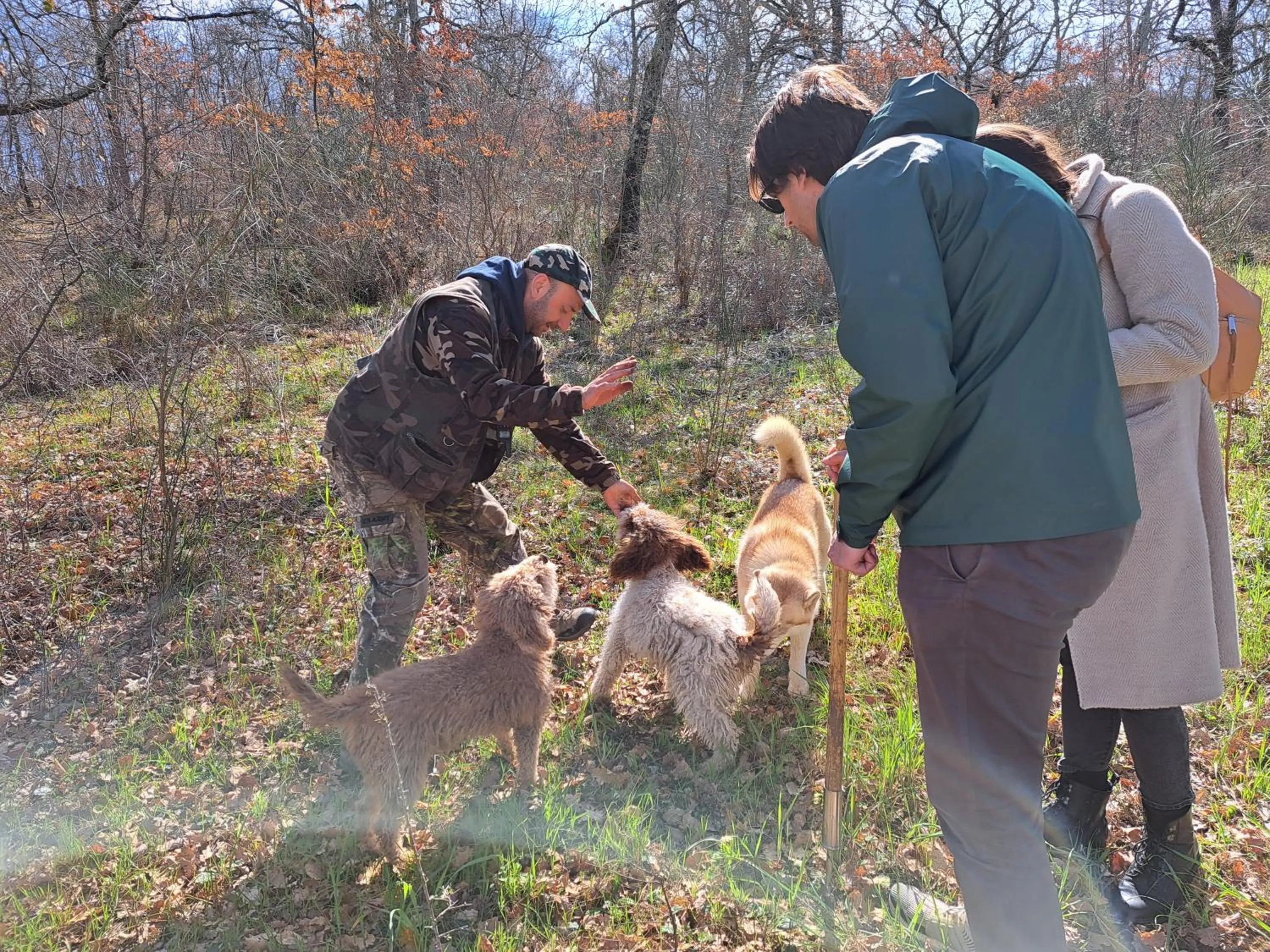 Activities in Podere Spedalone