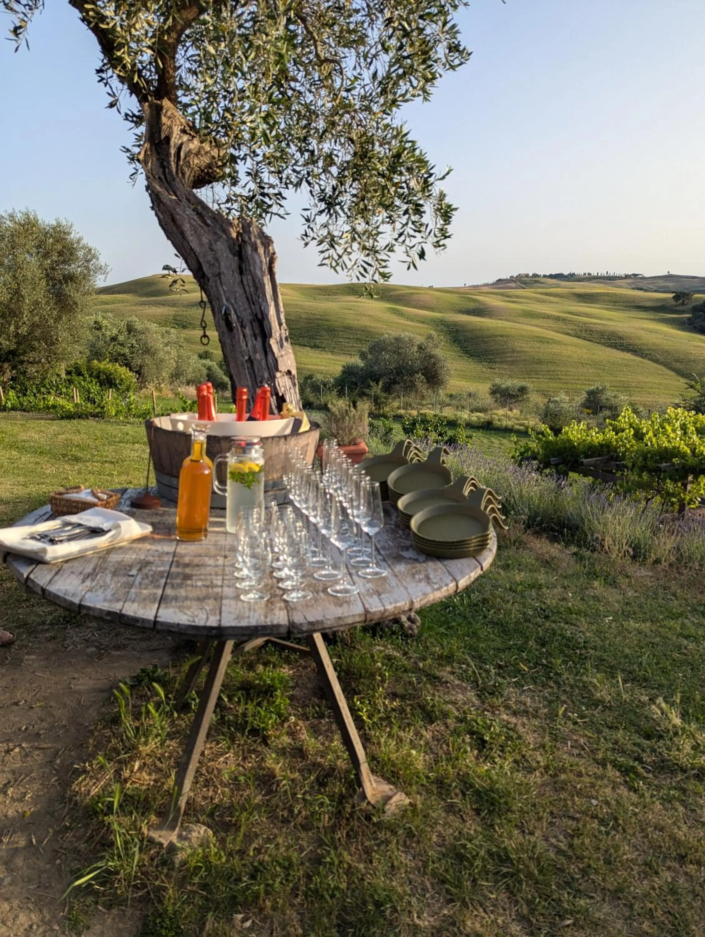 Restaurant/places to eat in Podere Spedalone