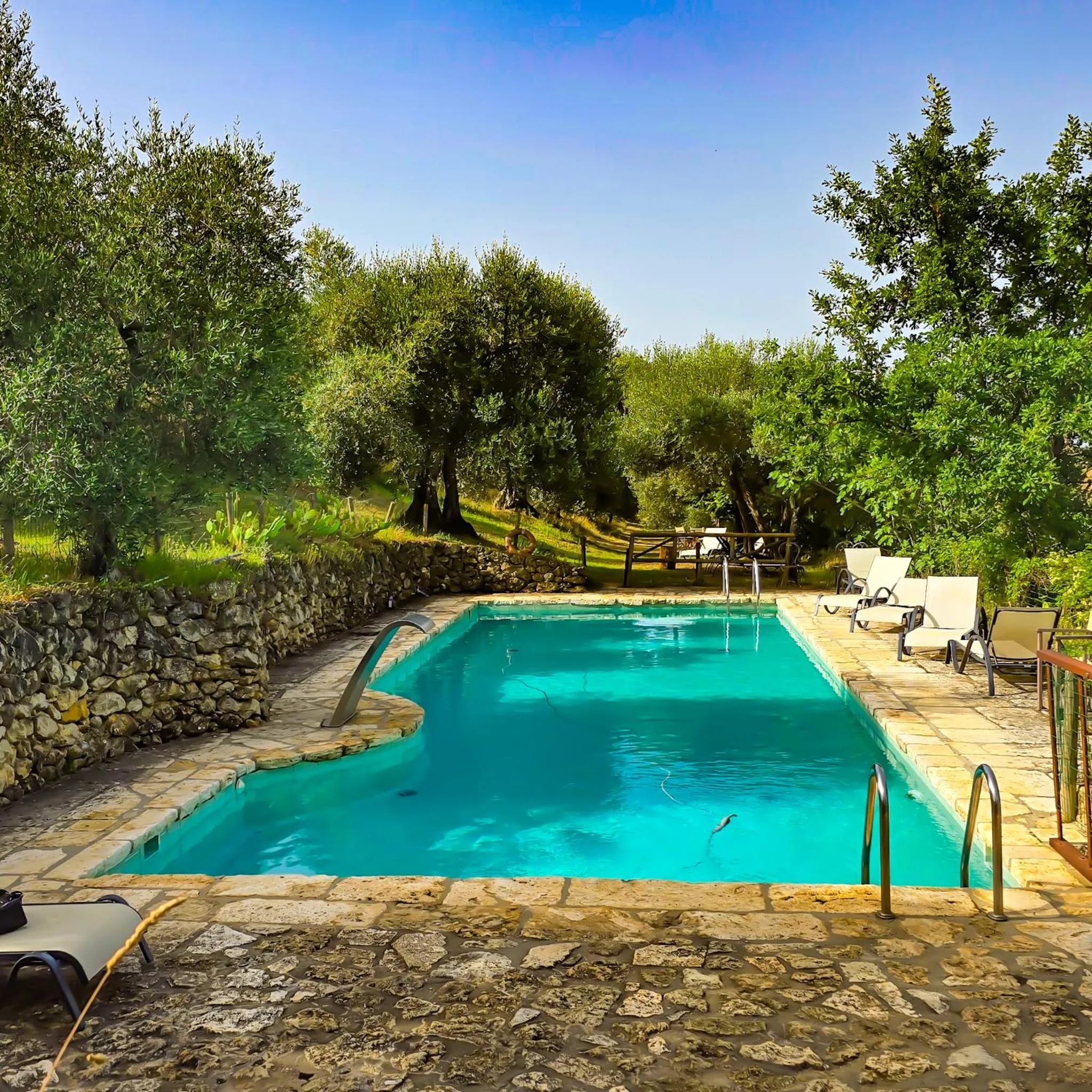 Swimming pool in Podere Spedalone