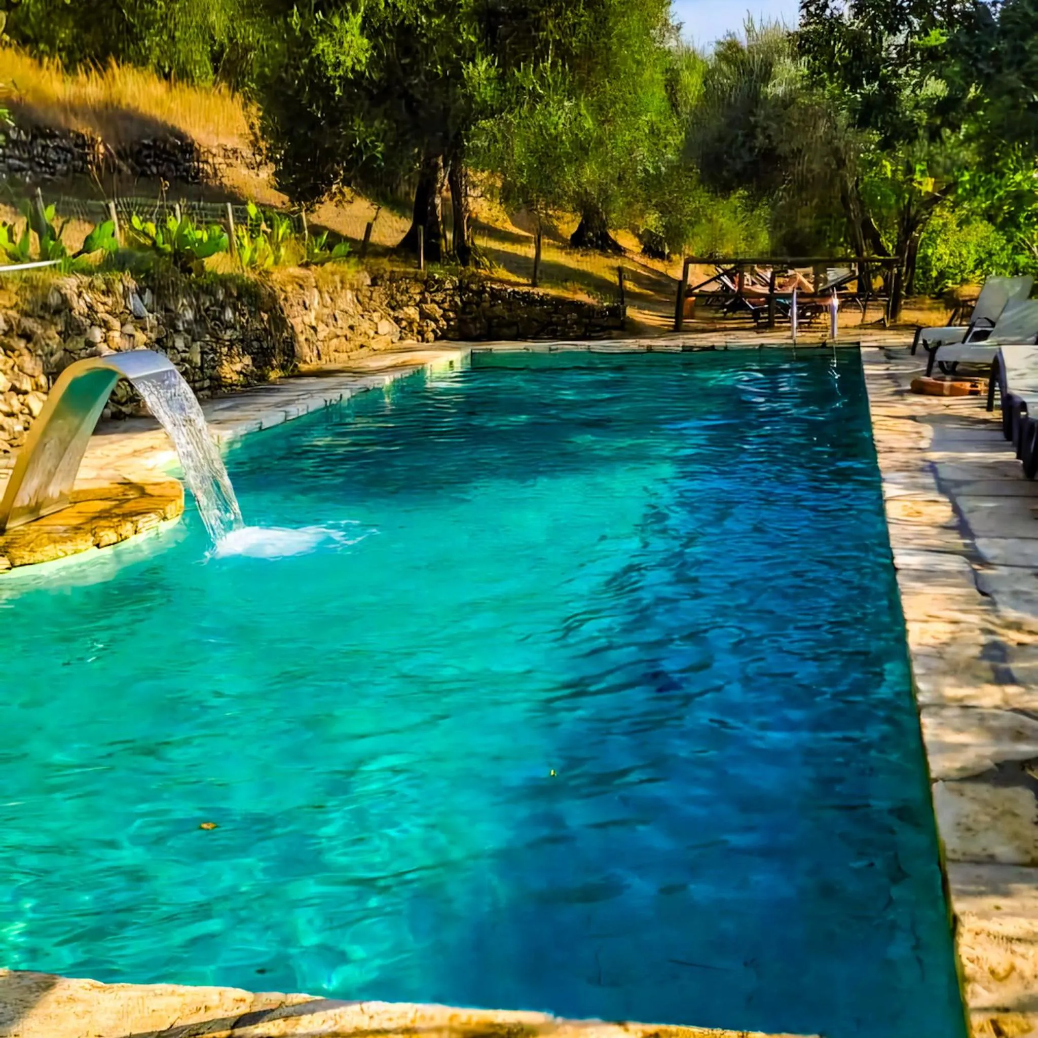 Swimming pool in Podere Spedalone