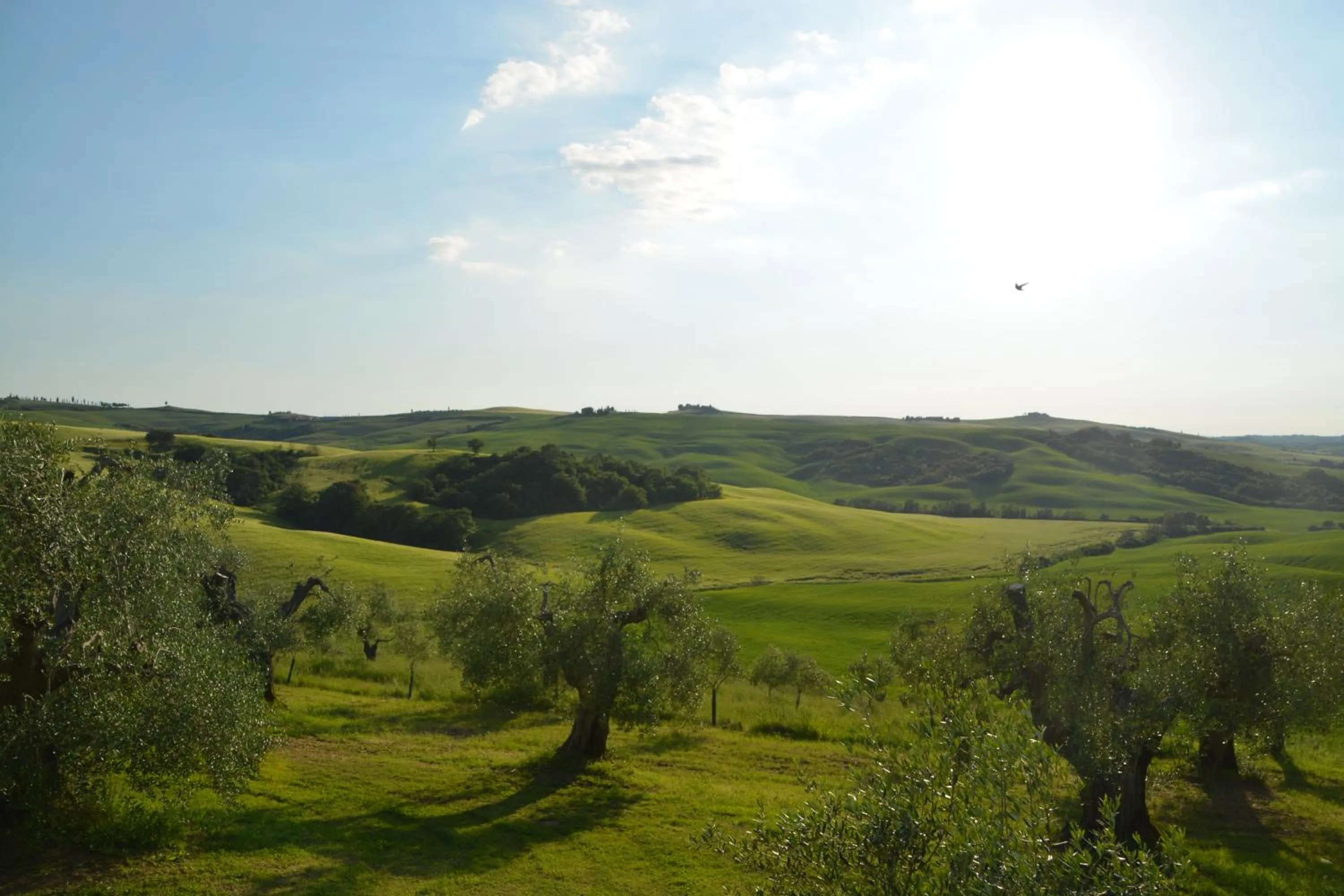 Day in Podere Spedalone