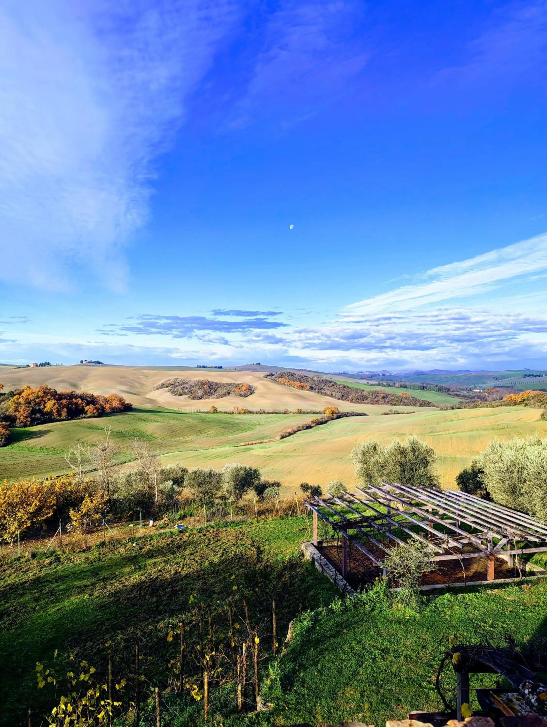 View (from property/room) in Podere Spedalone