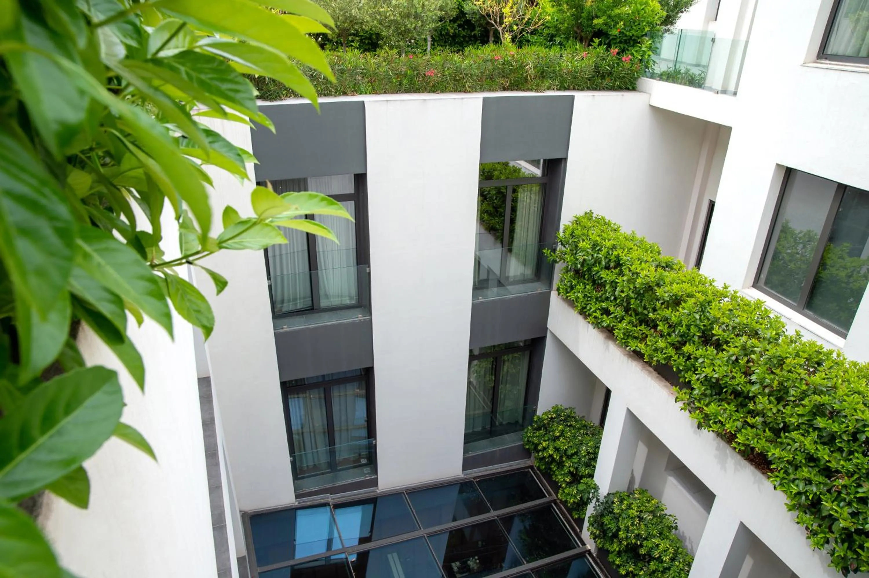 View (from property/room) in The Editor Hotel Athens