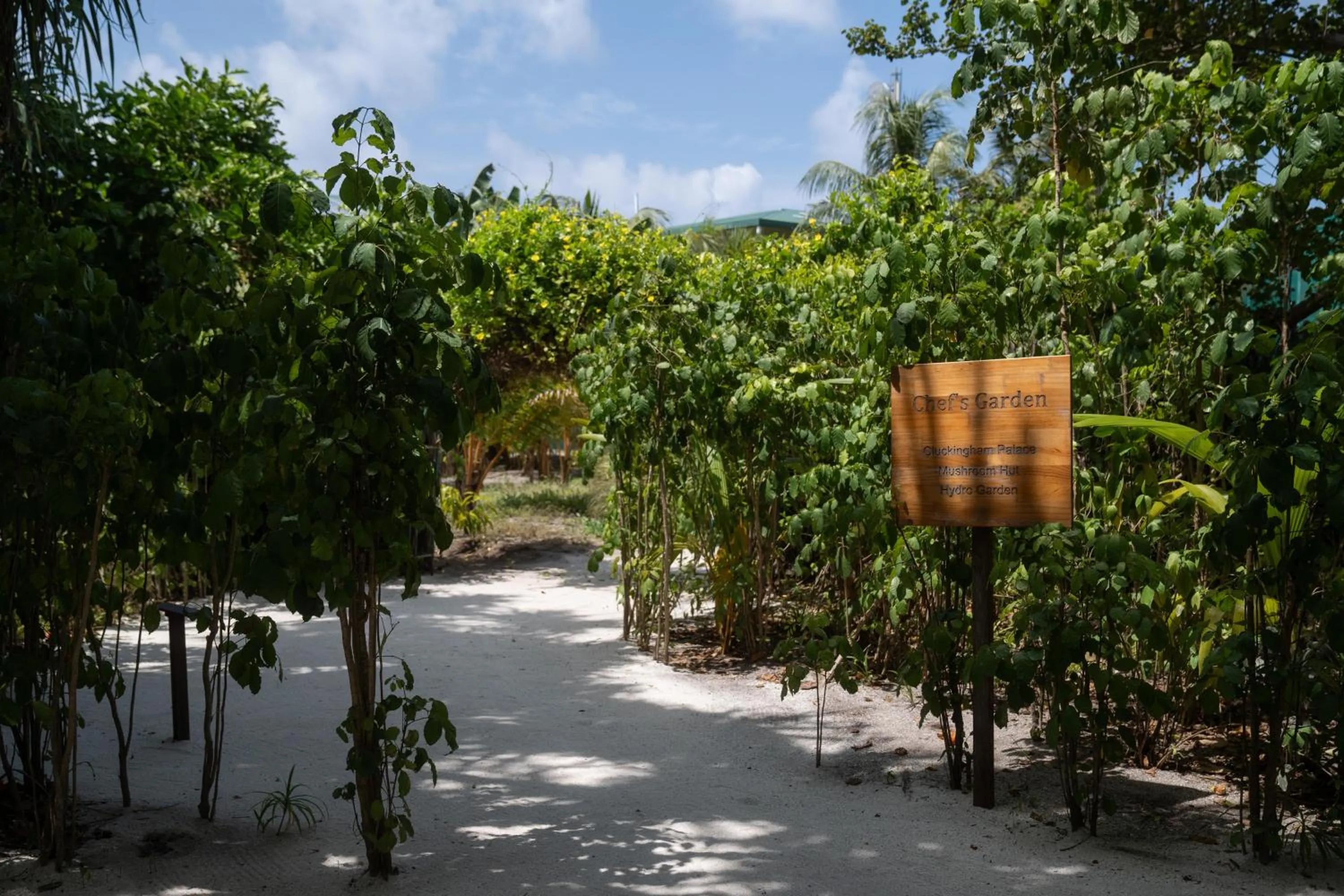 Property building in JA Manafaru, The Real Maldives - Complimentary Seaplane for 7 nights and more - Stay Period 01 May 2026 to 23 Dec 2026