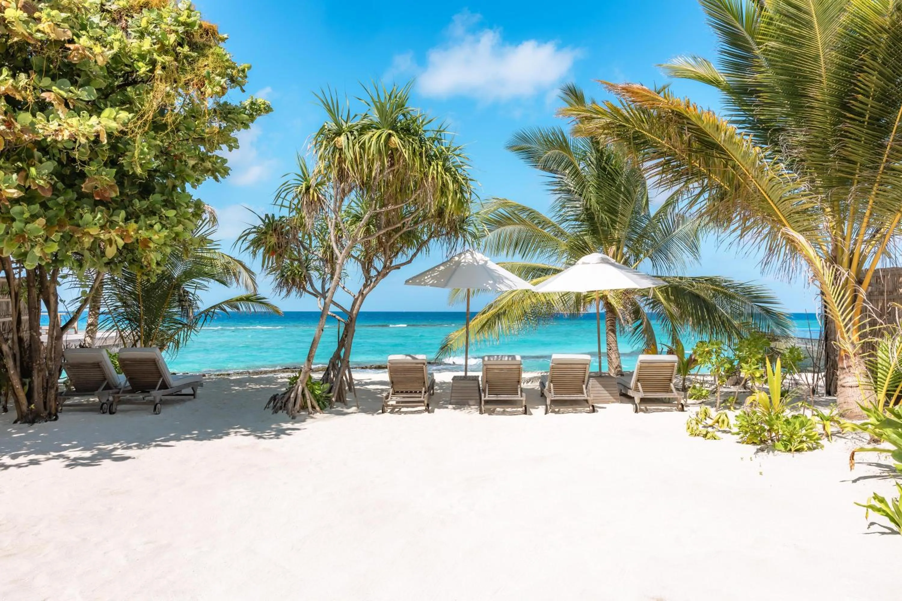 Natural landscape in JA Manafaru, The Real Maldives - Complimentary Seaplane for 7 nights and more - Stay period until 23 Dec 2025