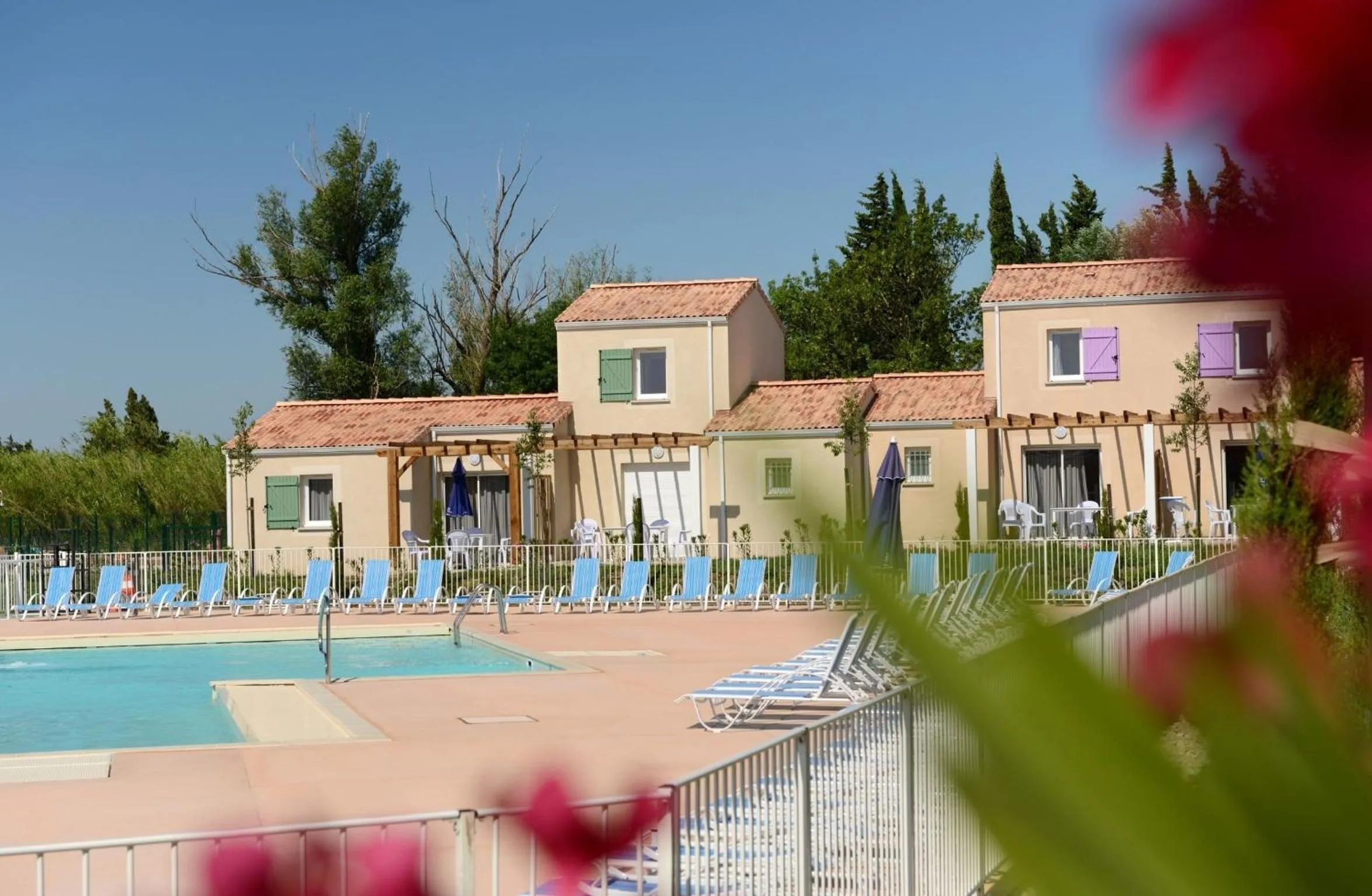 Swimming pool in Résidence Odalys Le Mas des Alpilles