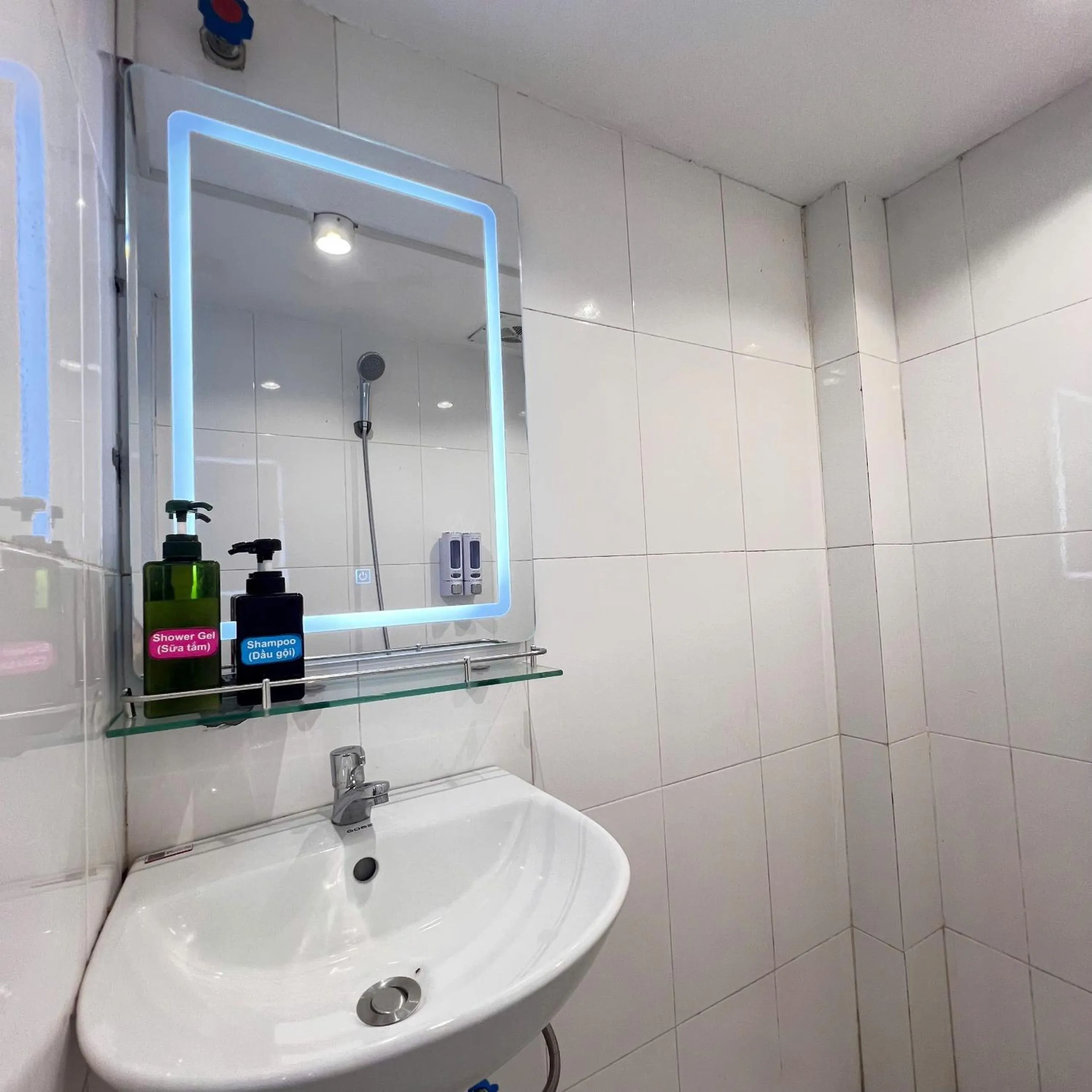 Shower in Hanowood Homestay