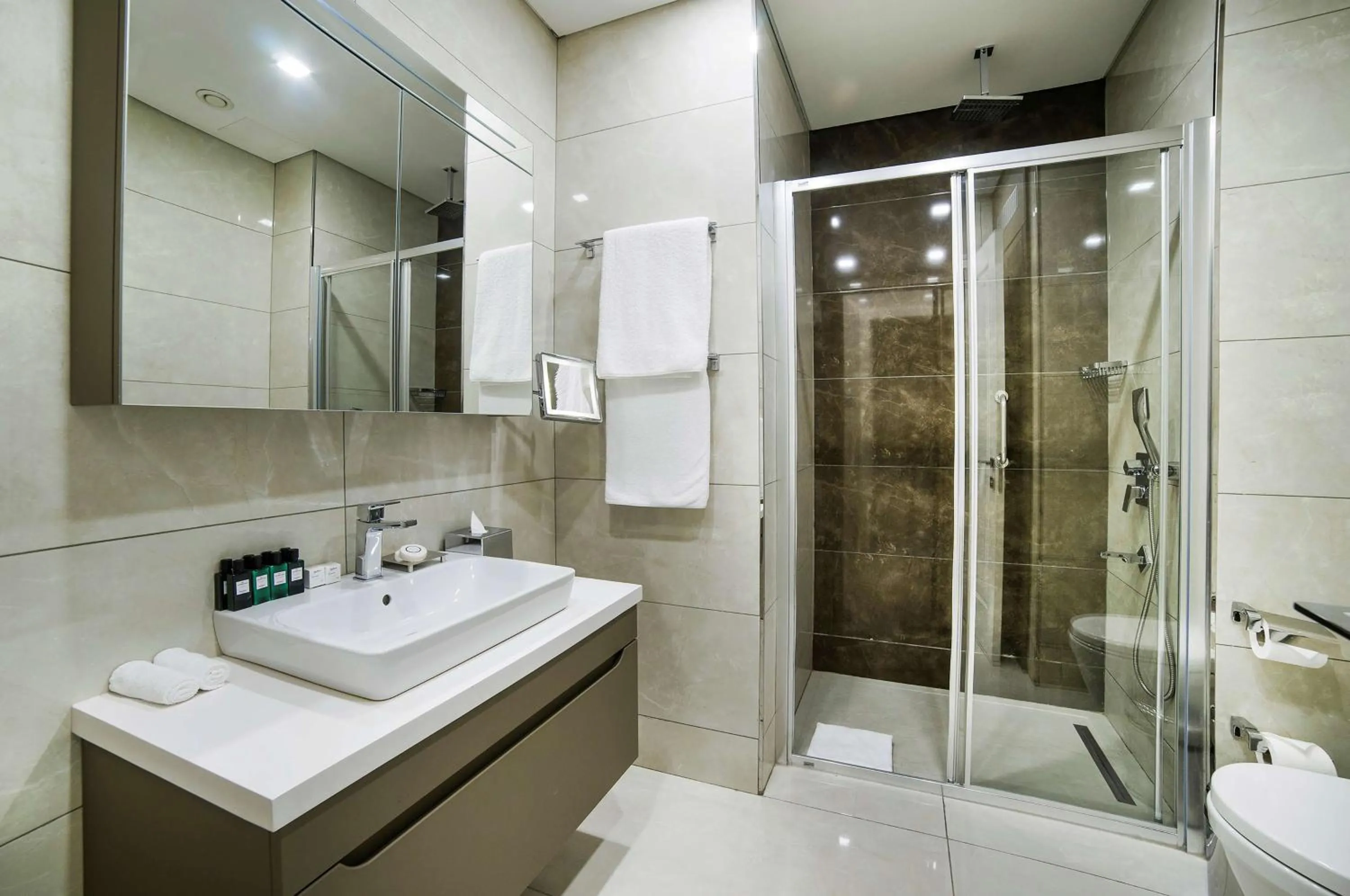 Bathroom in Radisson Residences Vadistanbul
