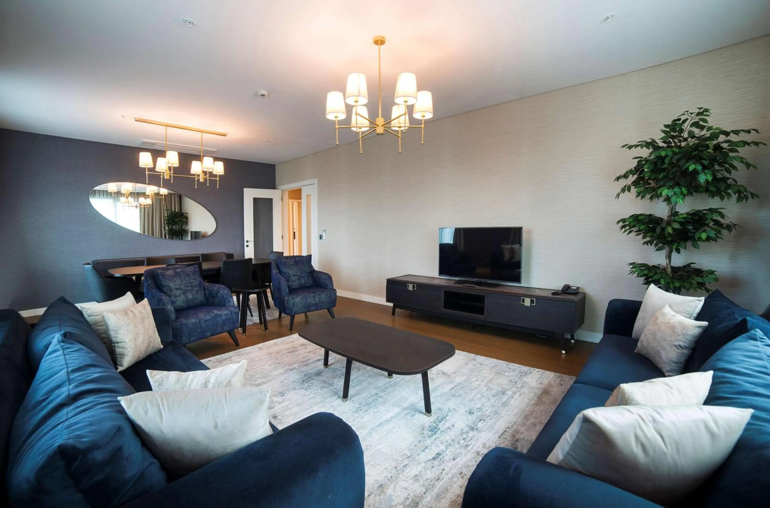 TV and multimedia in Radisson Residences Vadistanbul