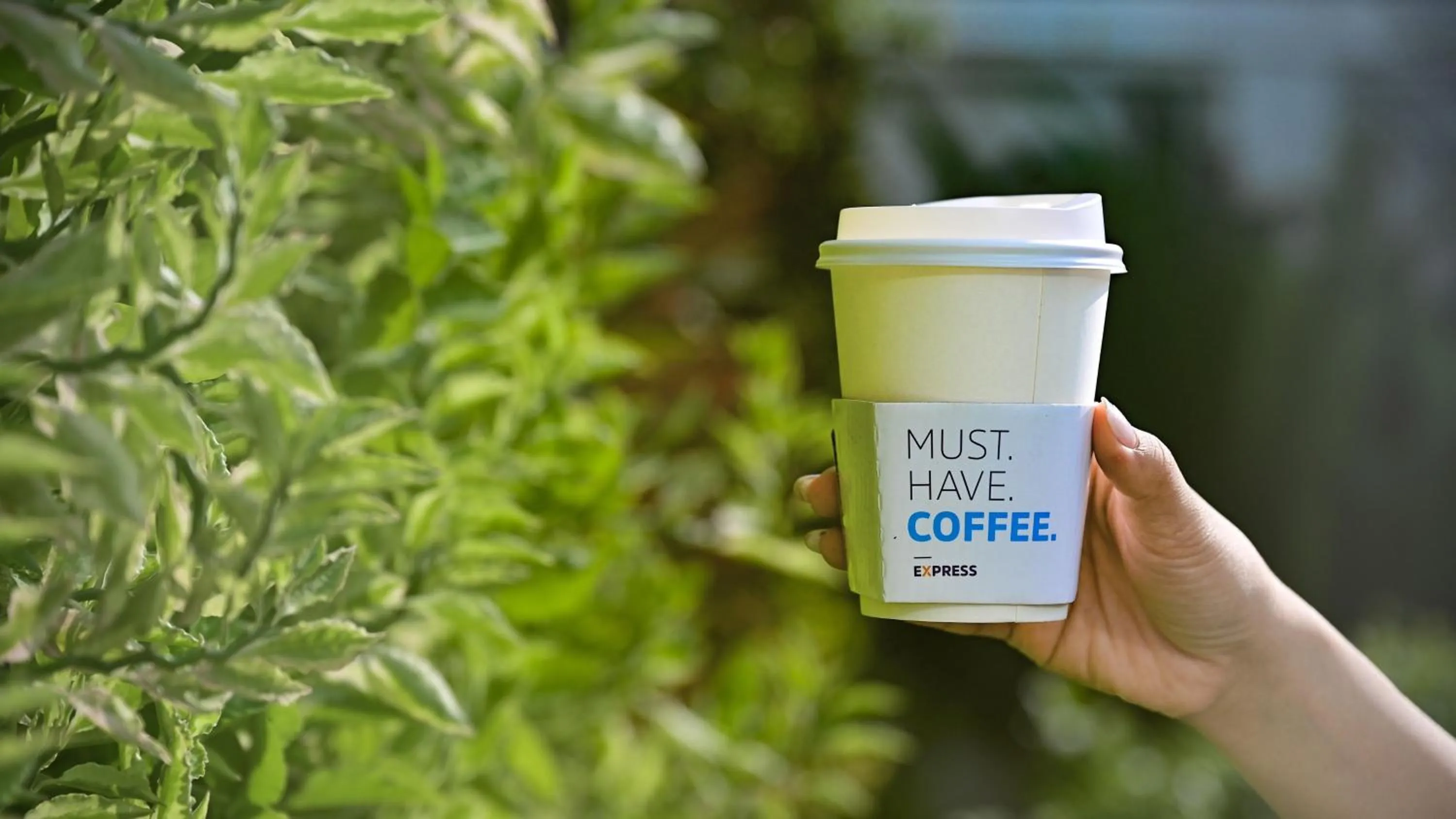 Garden in Holiday Inn Express Pattaya Central by IHG