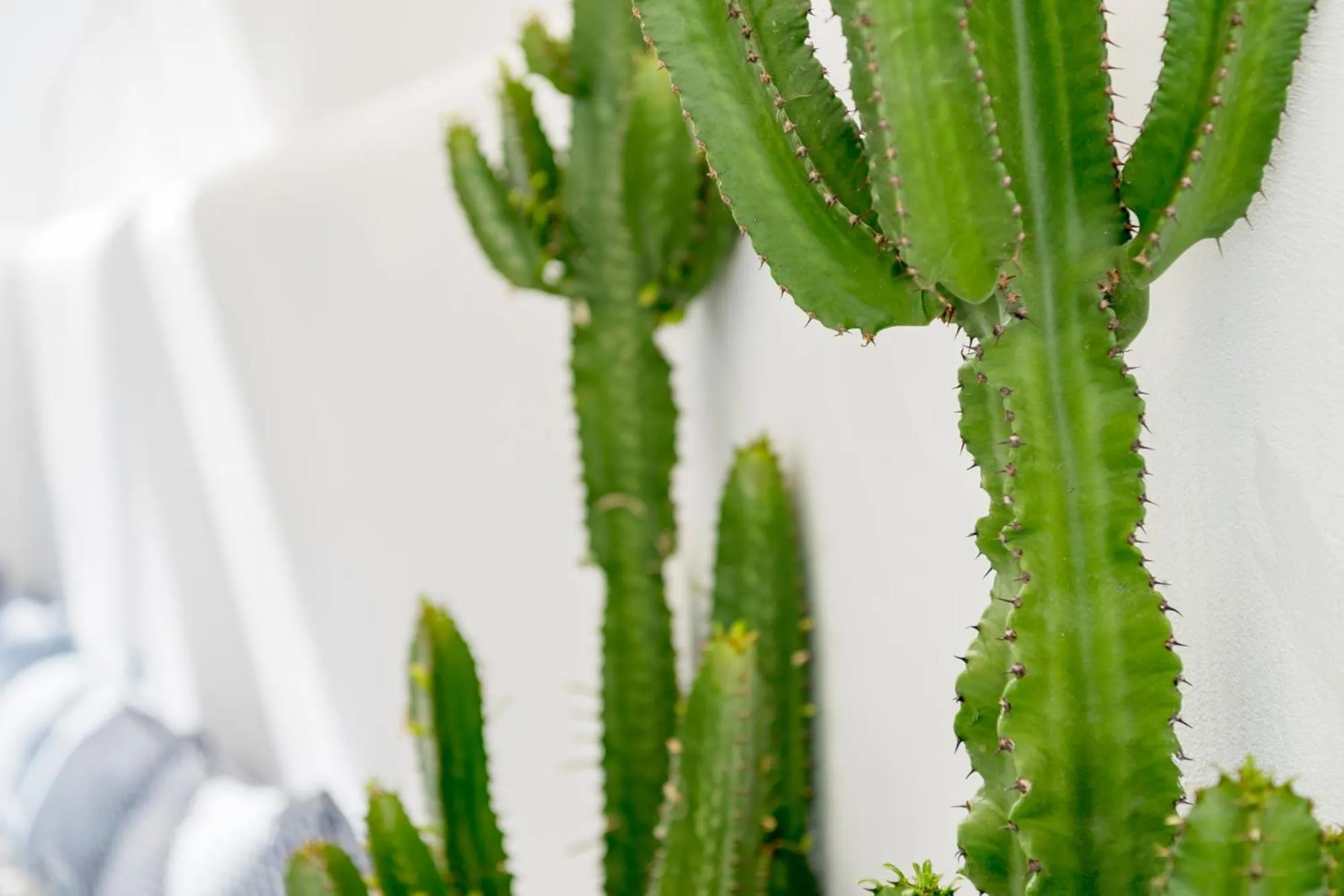 Decorative detail in Mykonian Mews Luxury Suites