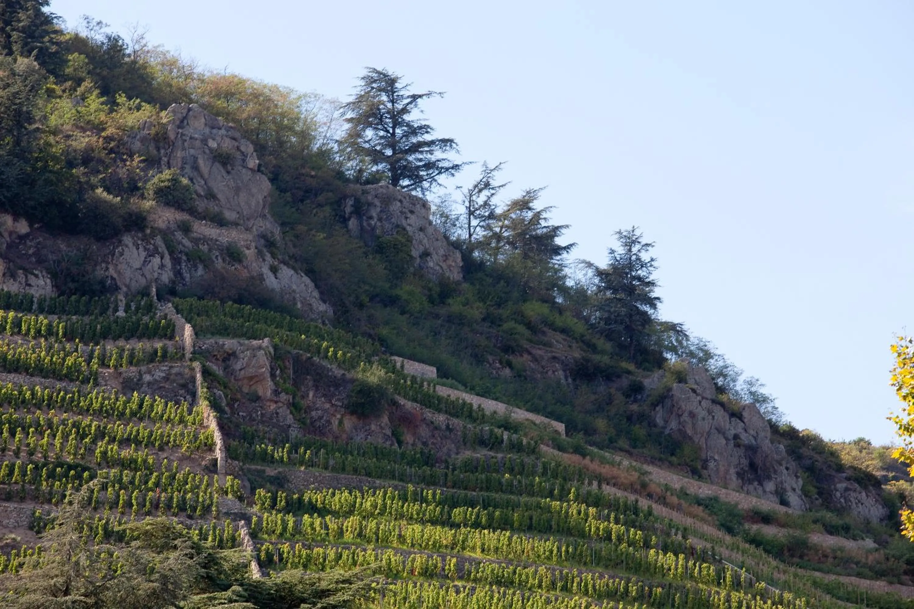 View (from property/room) in Logis Hôtel Restaurant Azalées