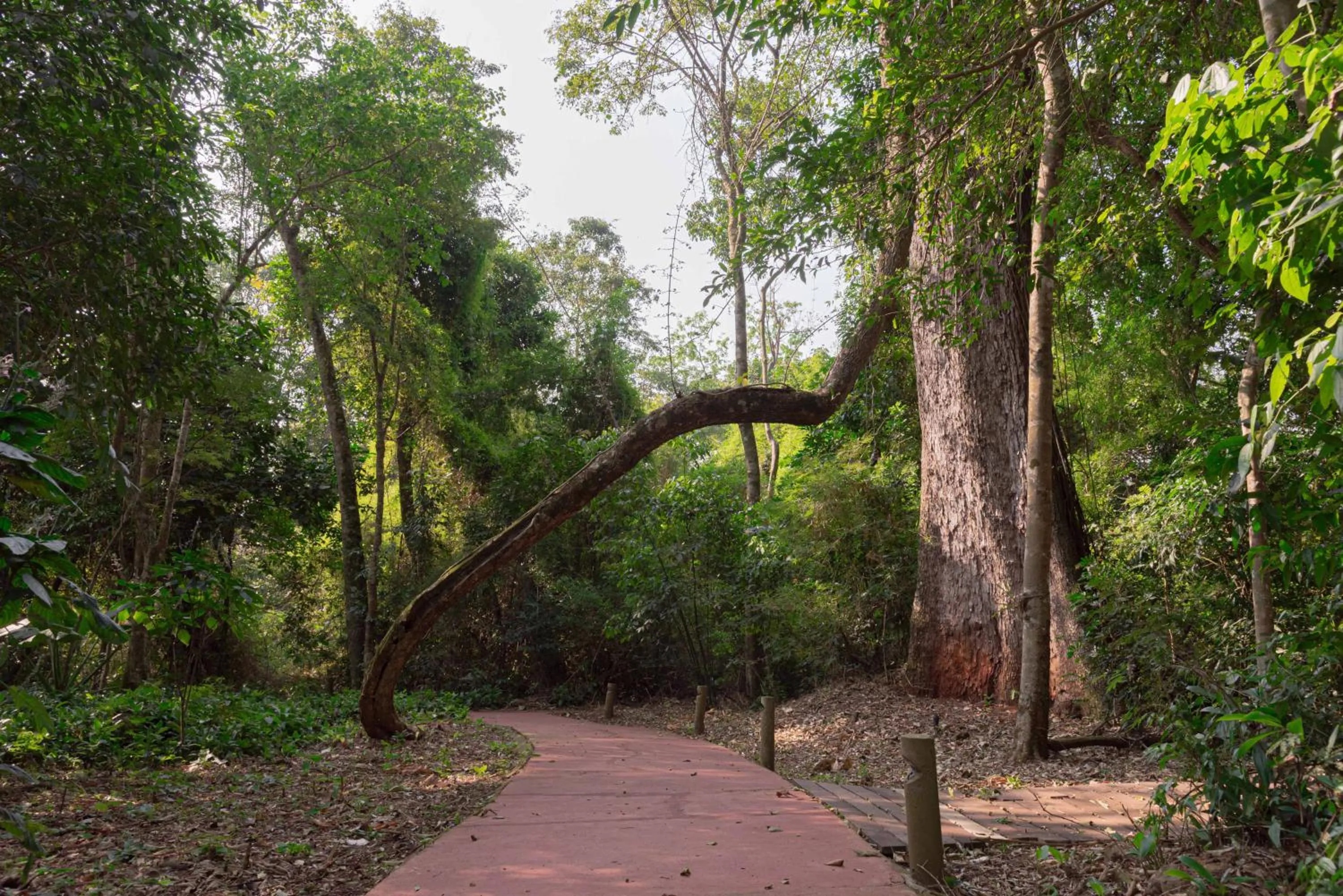 Hiking in Village Cataratas