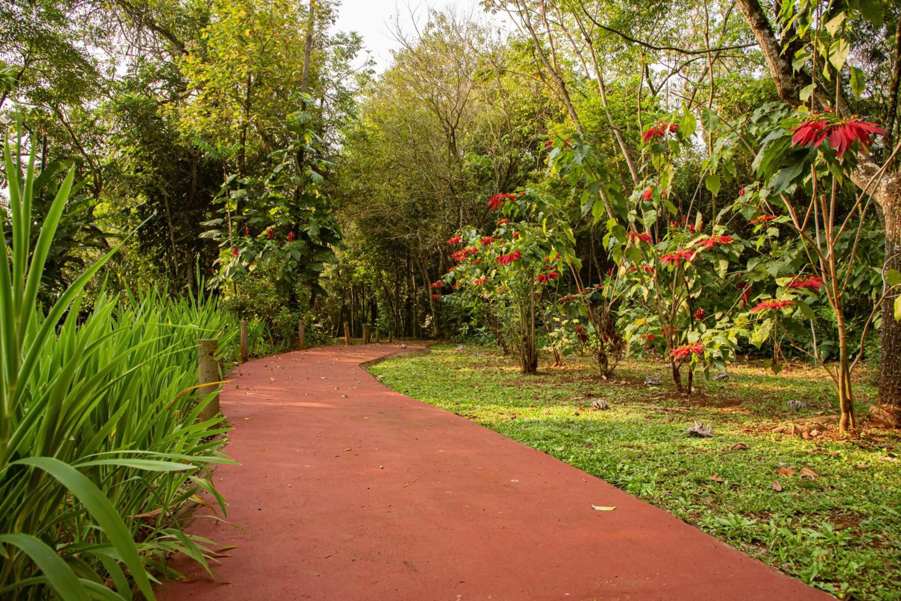 Natural landscape in Village Cataratas