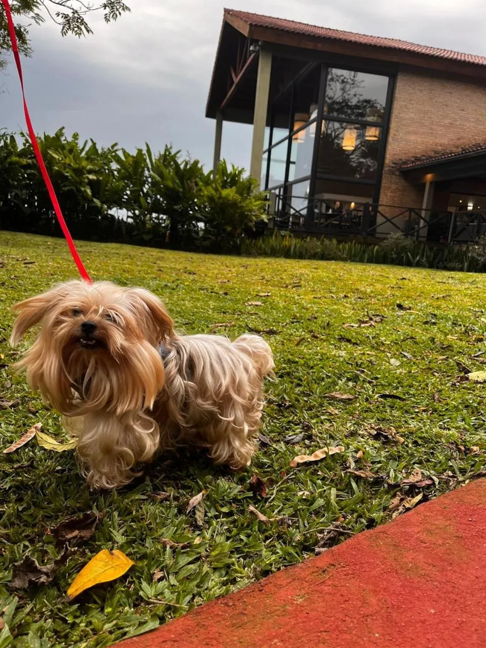 Pets in Village Cataratas