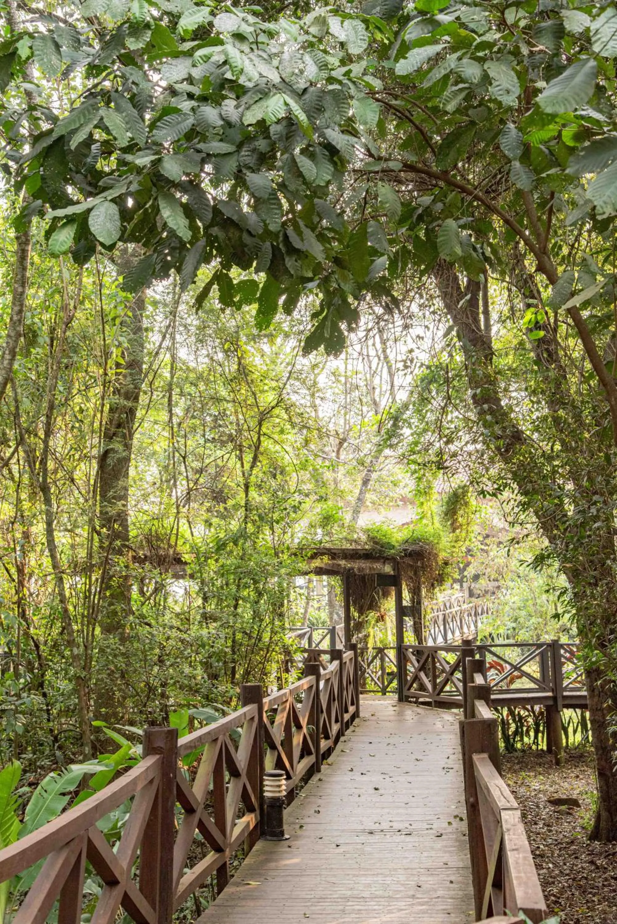 Garden view in Village Cataratas