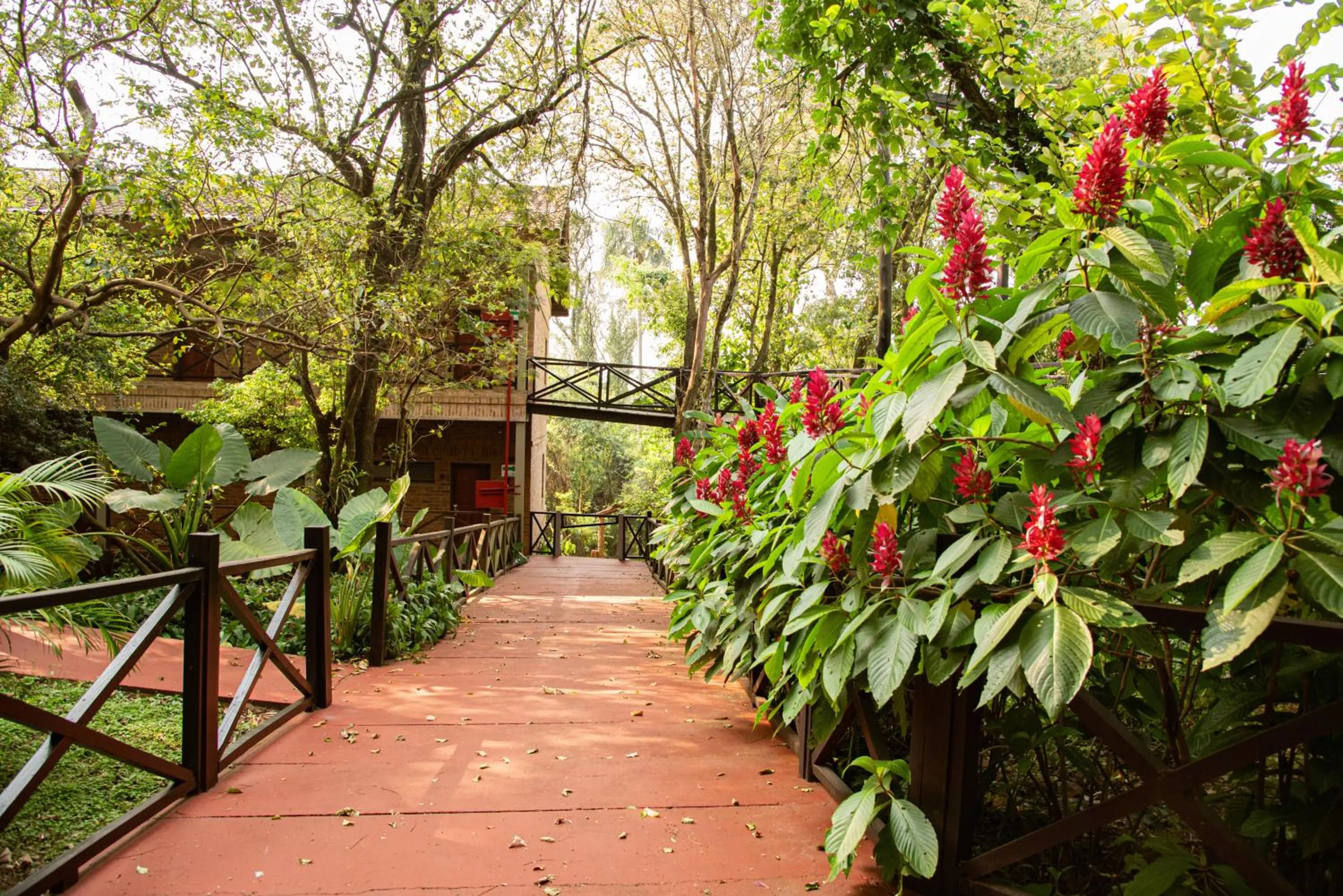 Natural landscape in Village Cataratas