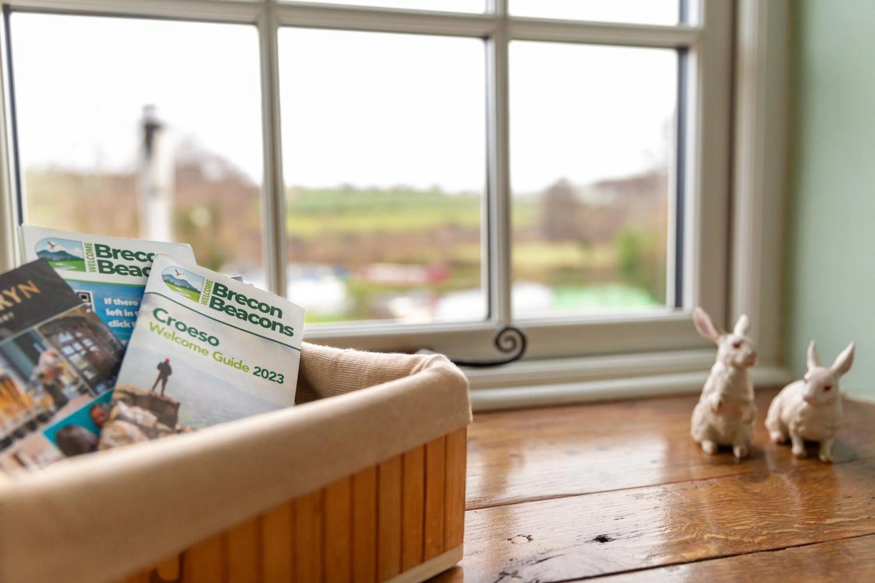 View (from property/room) in Ty Newydd B&B