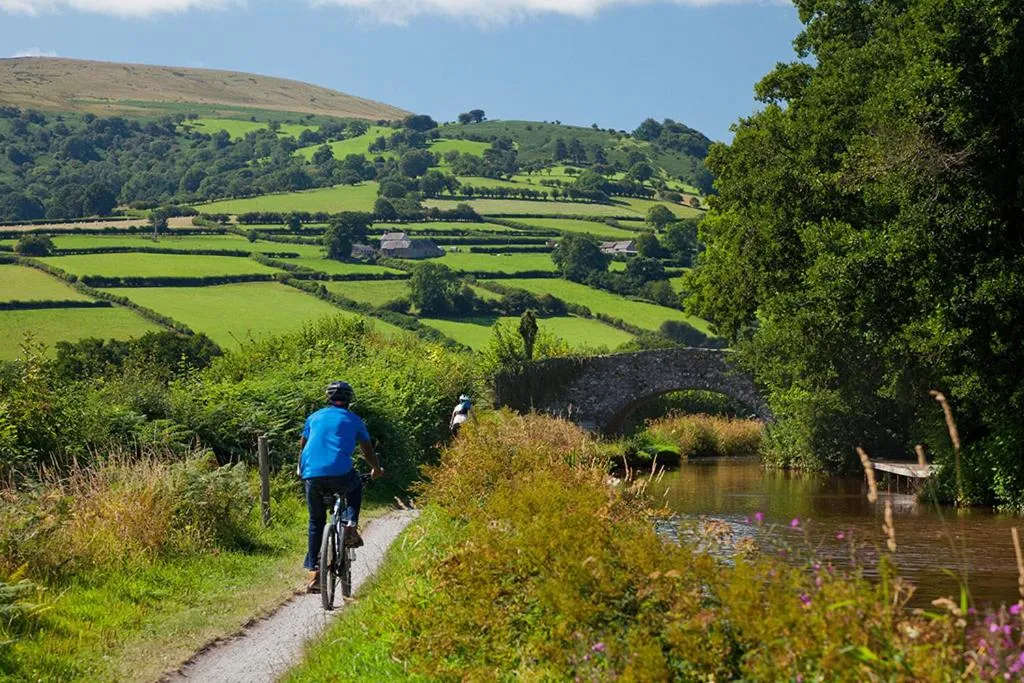 Natural landscape in Ty Newydd B&B