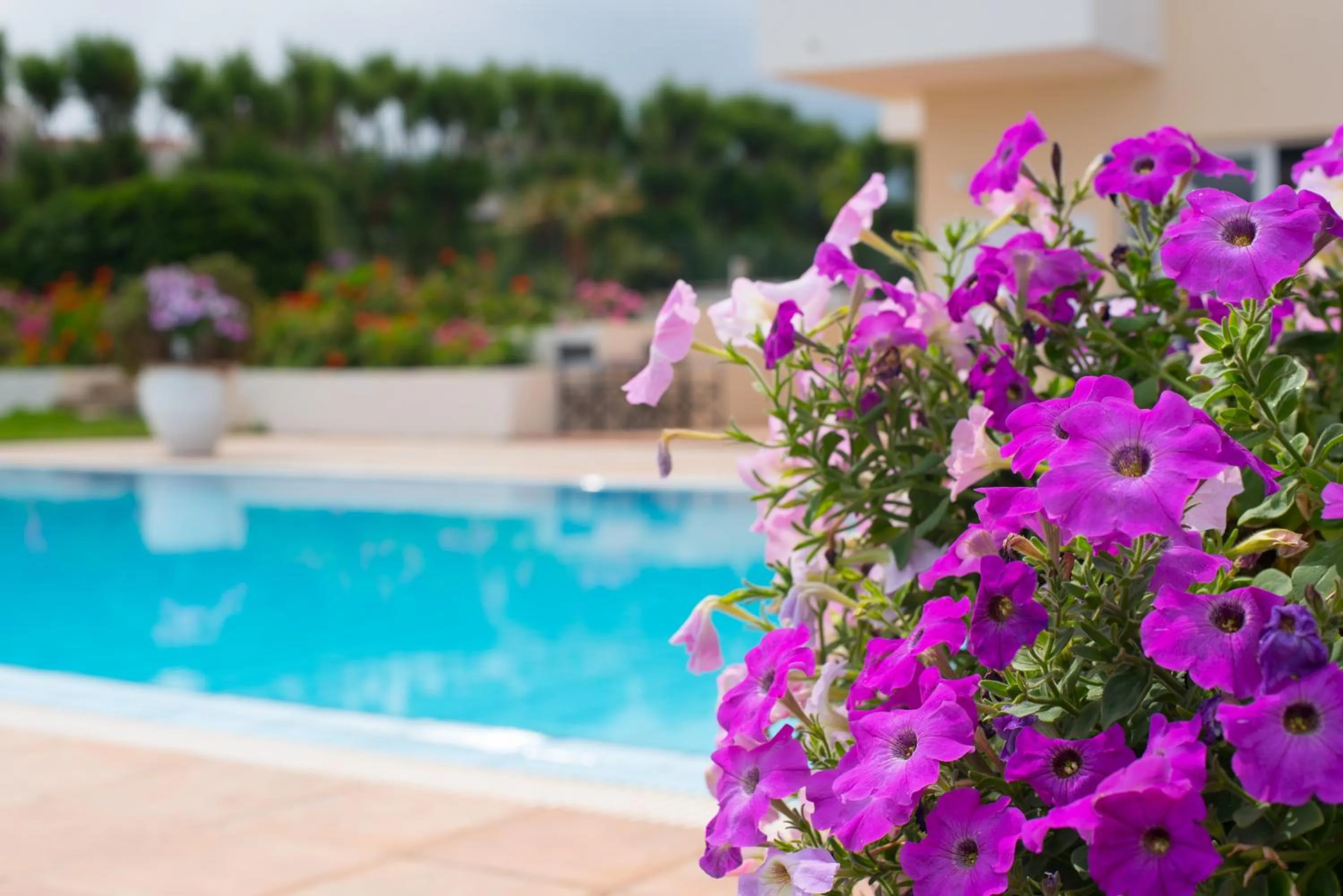 Swimming pool in Silver Sun Studios & Apartments