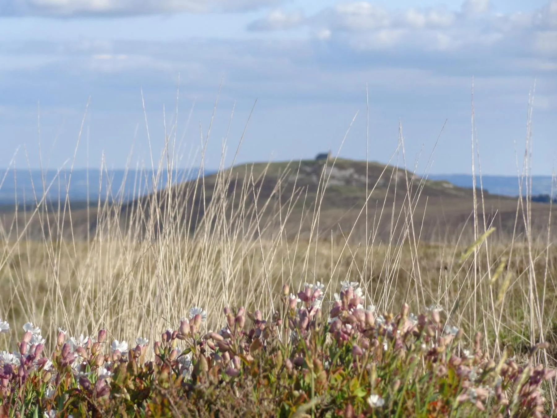 Off site in La vallée du Rivoal