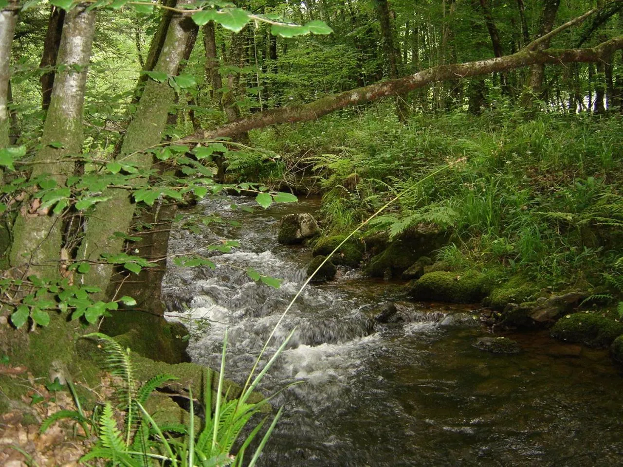 Nearby landmark in La vallée du Rivoal
