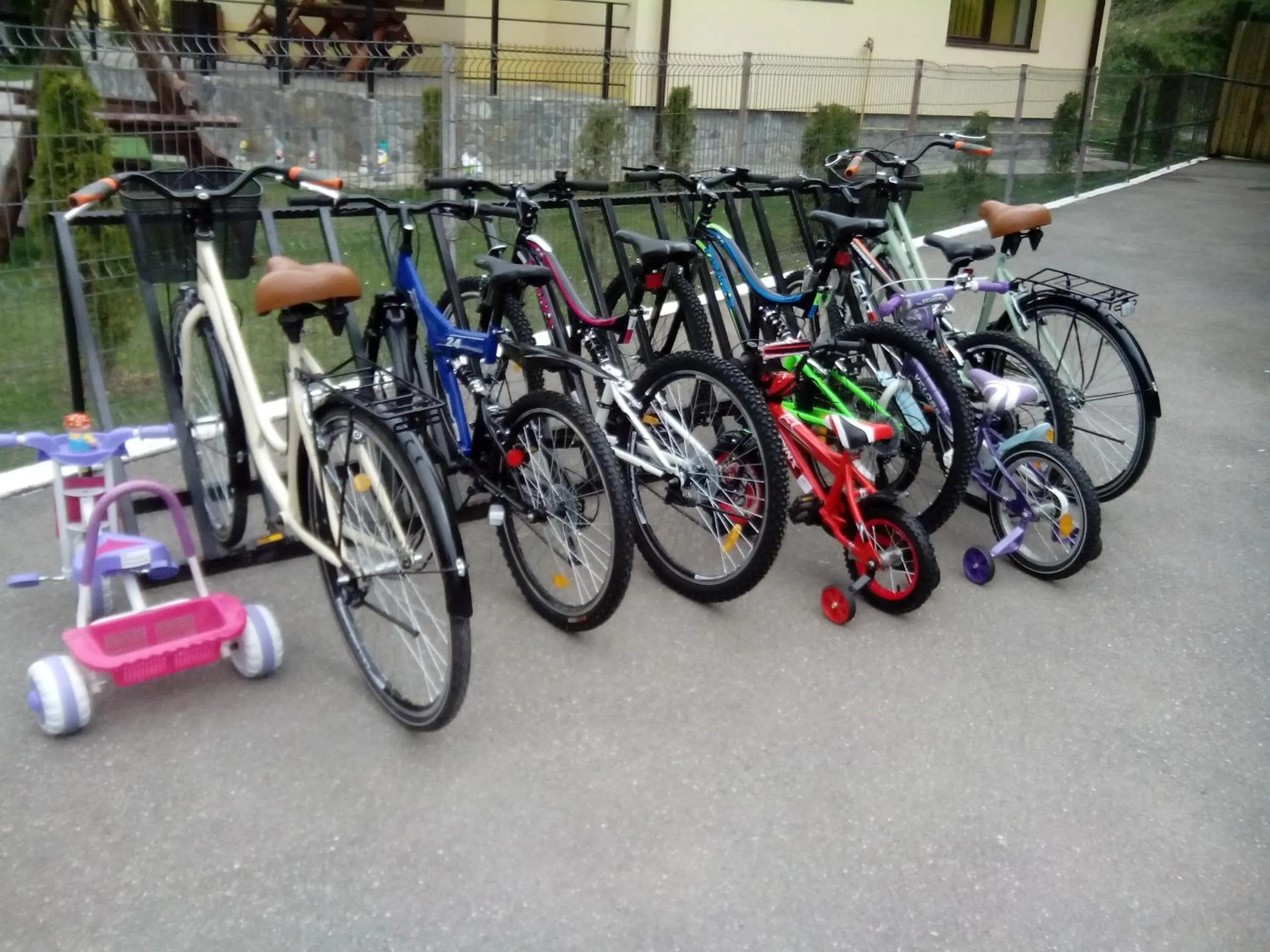 Cycling in Complex Mona Caraiman