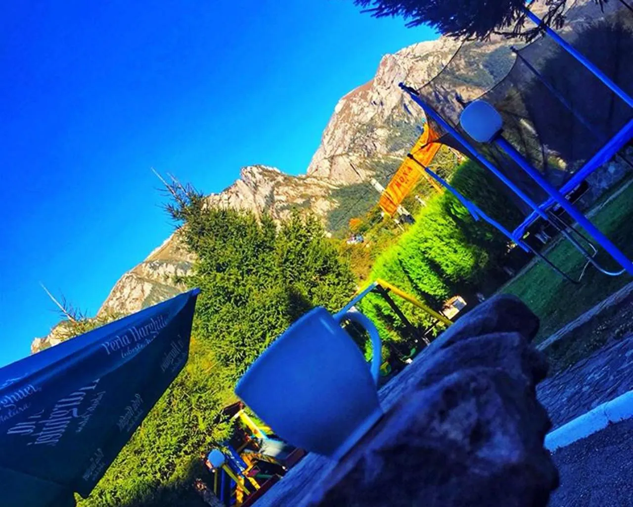 Complex Mona Caraiman