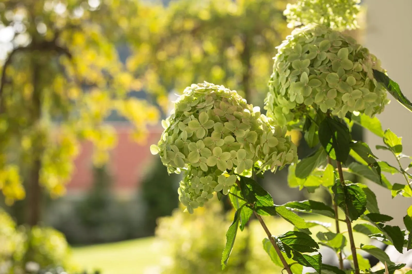 Garden in Hofslund Fjord Hotel