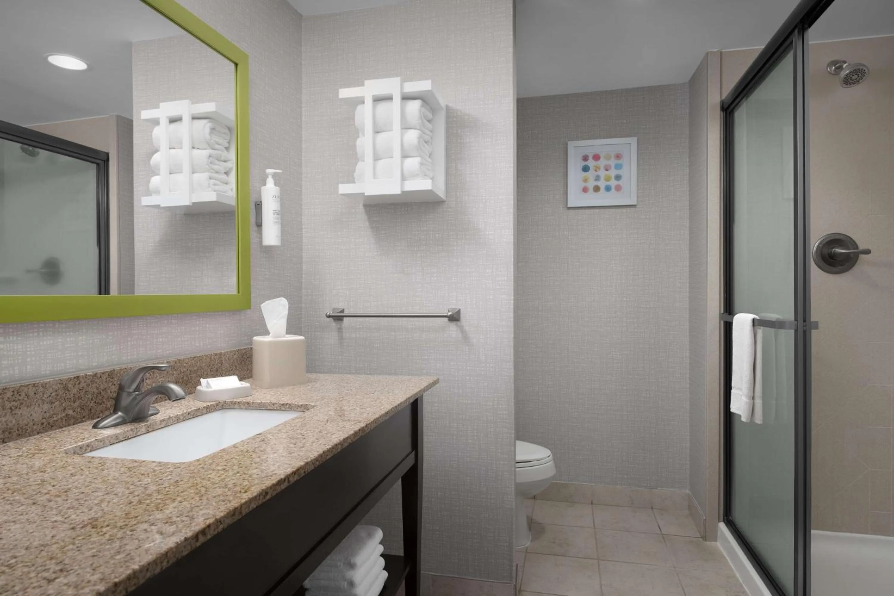 Bathroom in Hampton Inn Statesboro