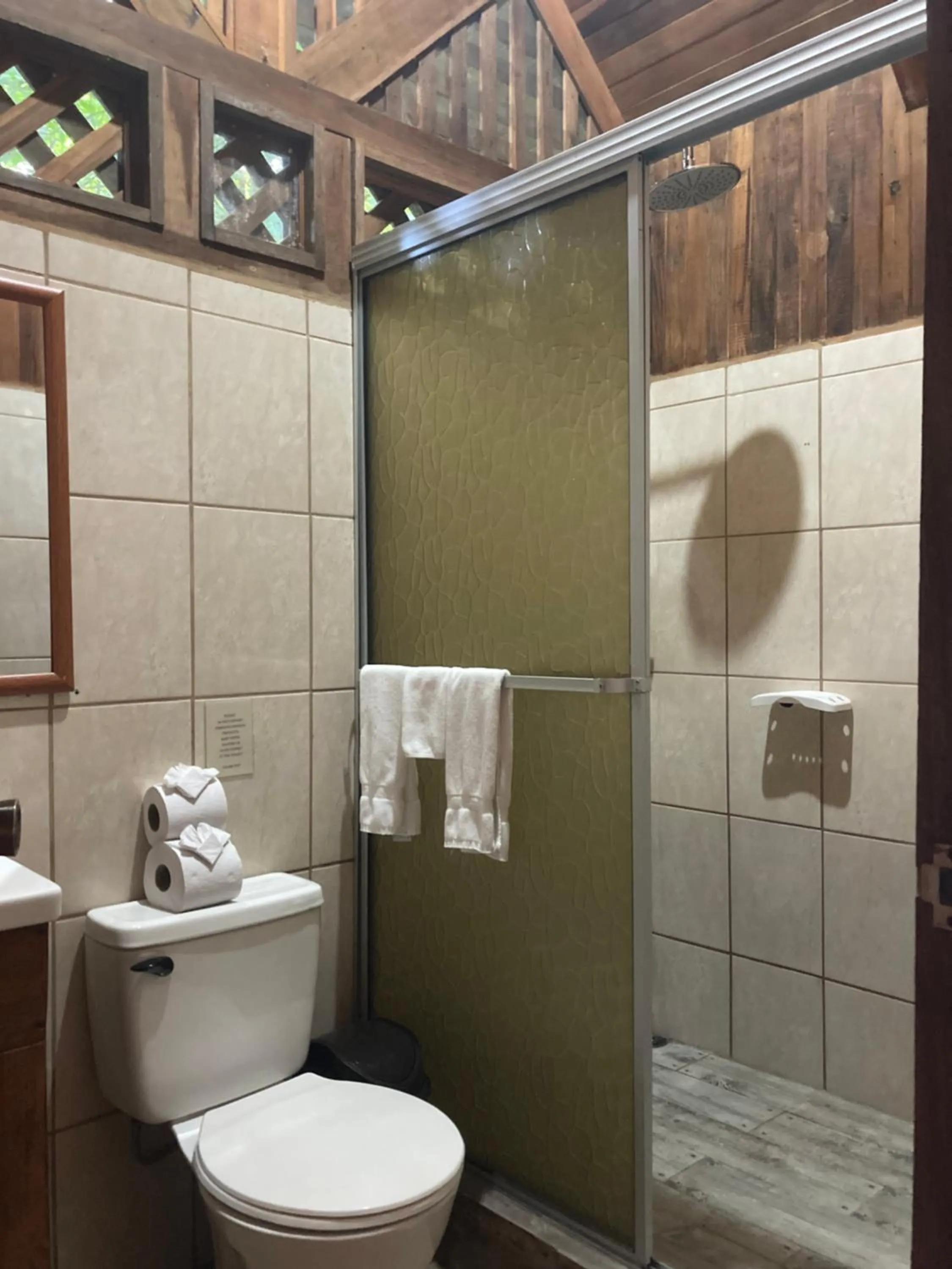 Bathroom in Arenal Oasis Eco Lodge & Wildlife Refuge