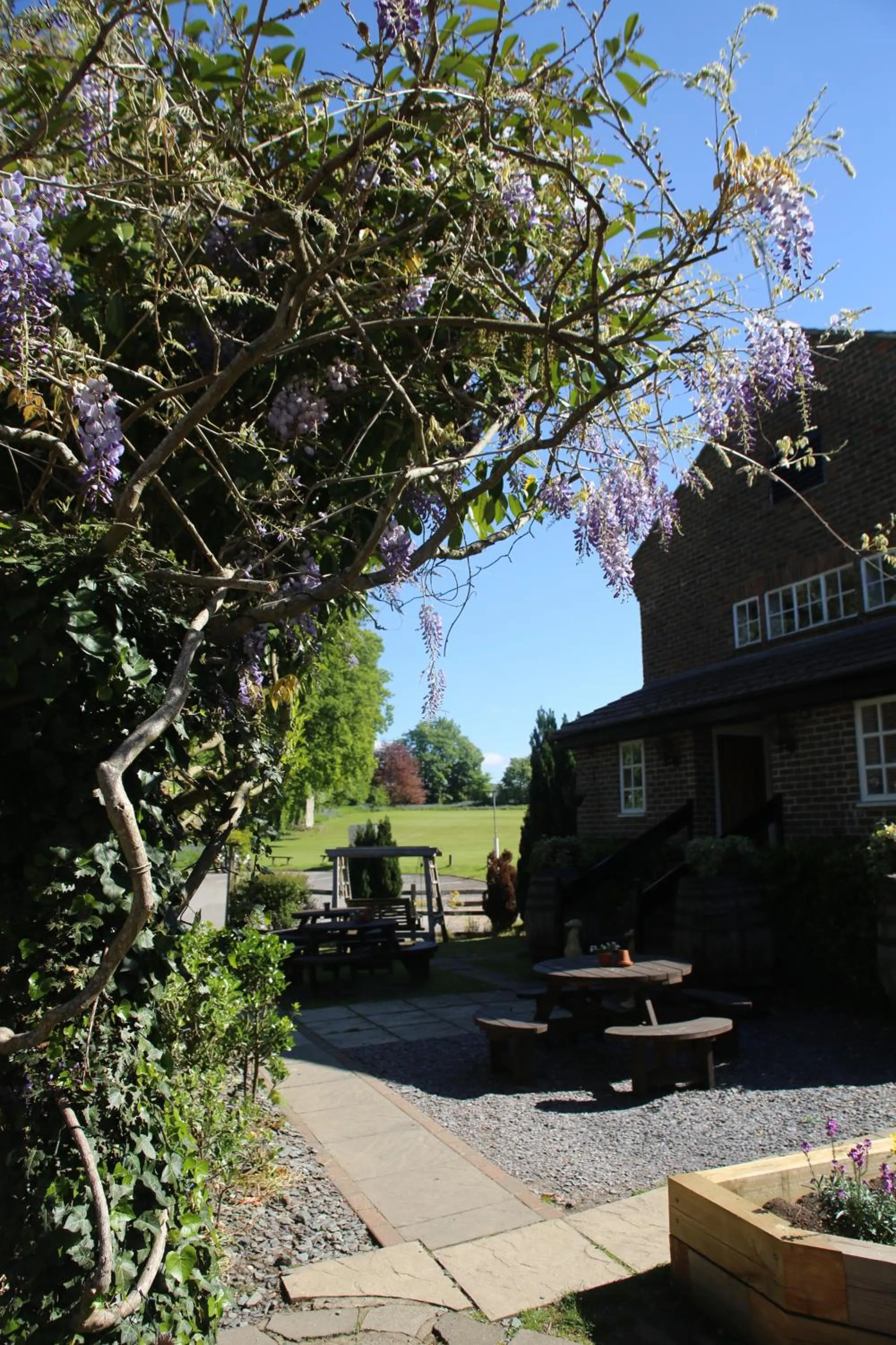 Garden in The Red Lion & Cellar Room, Betchworth