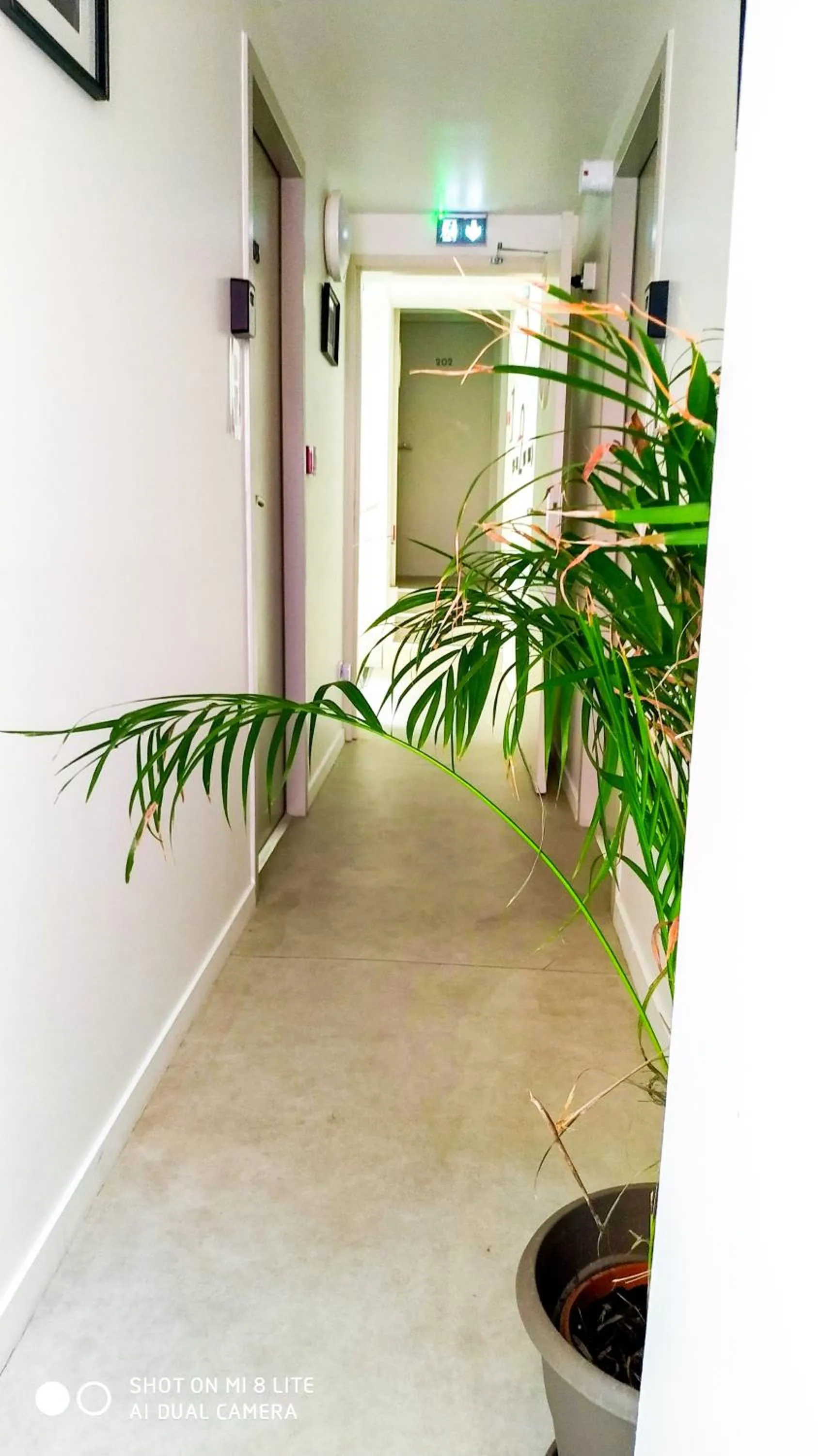 Inner courtyard view in Résidence Ramblas