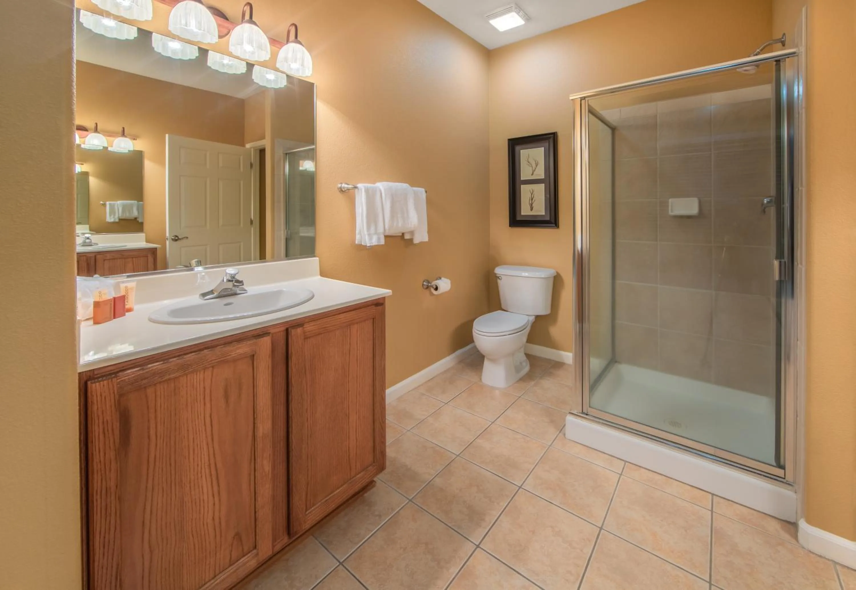Bathroom in Holiday Inn Club Vacations - David Walley's Resort