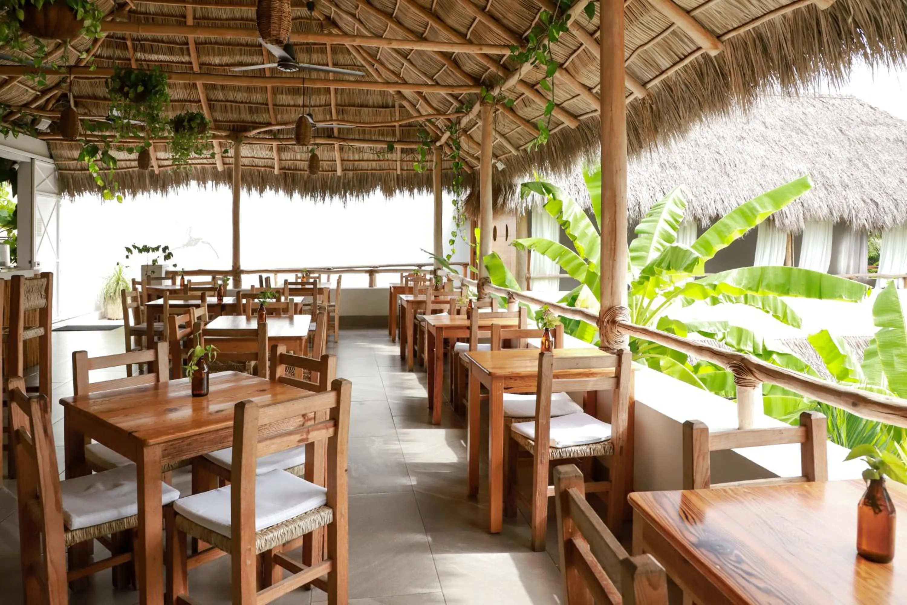 Restaurant/places to eat in Marii Hotel Boutique