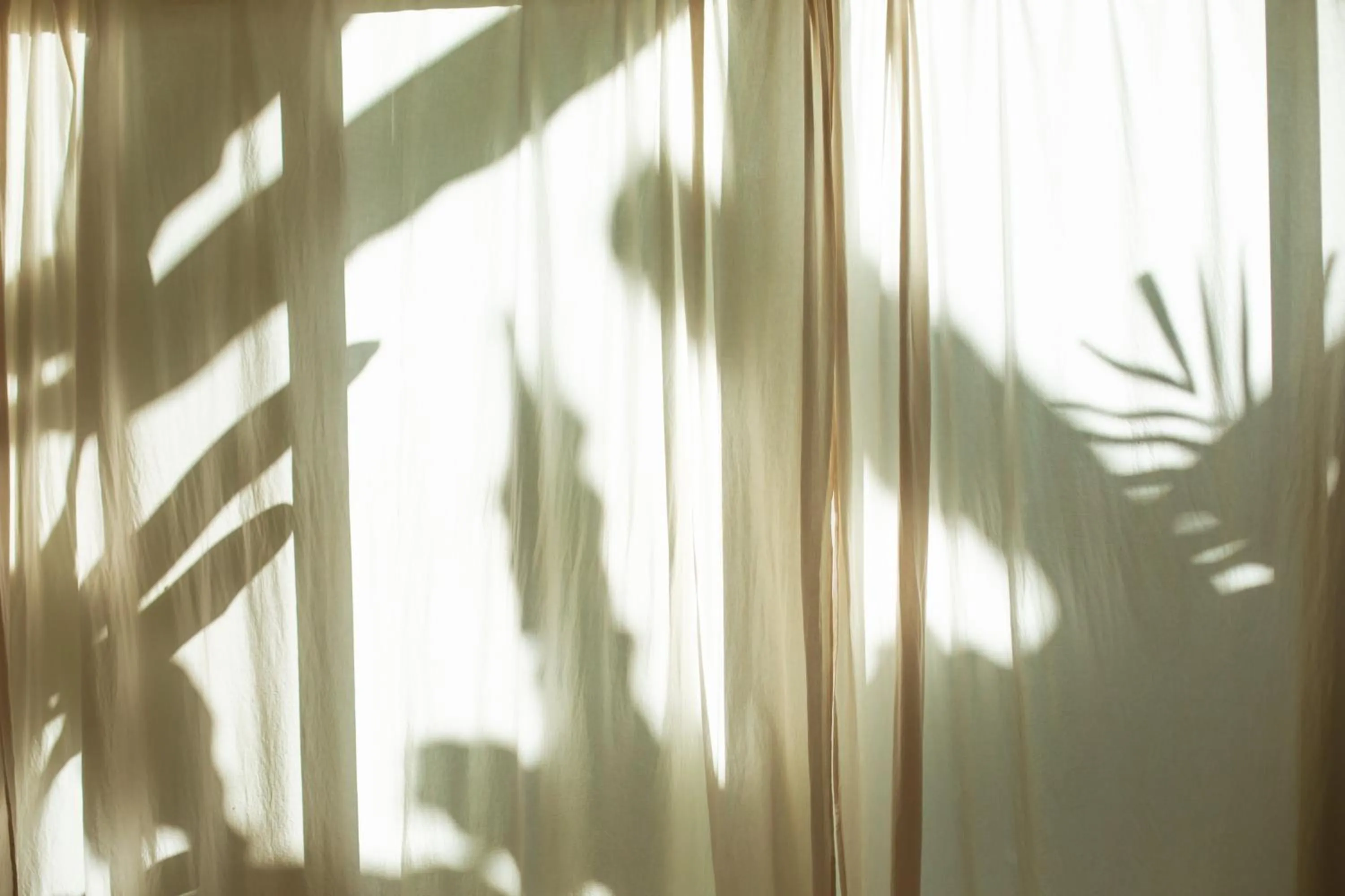 Decorative detail in Marii Hotel Boutique