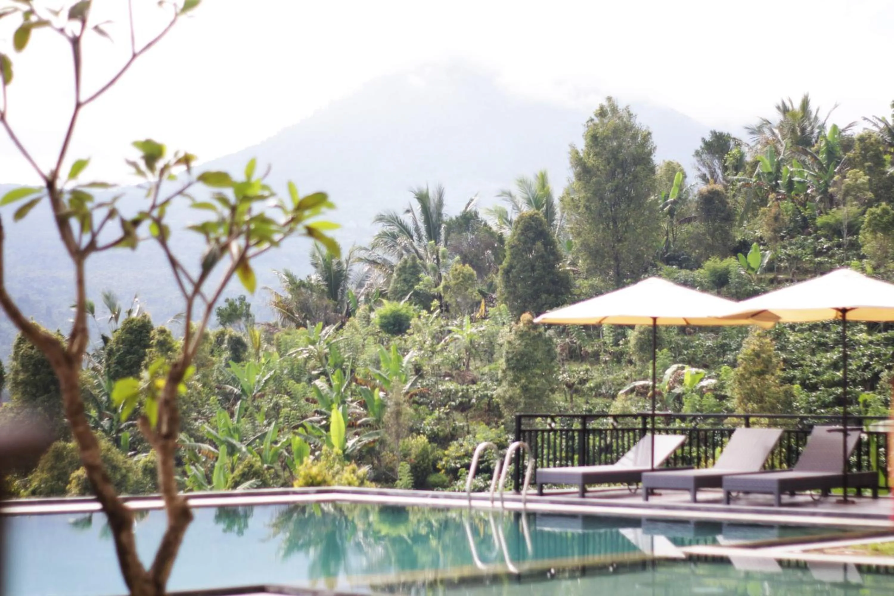 Swimming pool in Atres Sari Resort