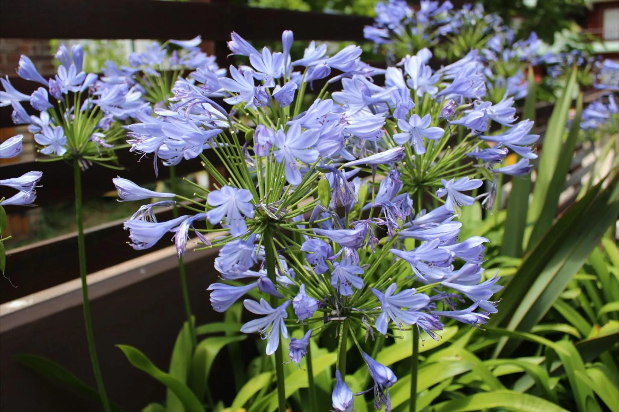 Other in Hotel Rideamus