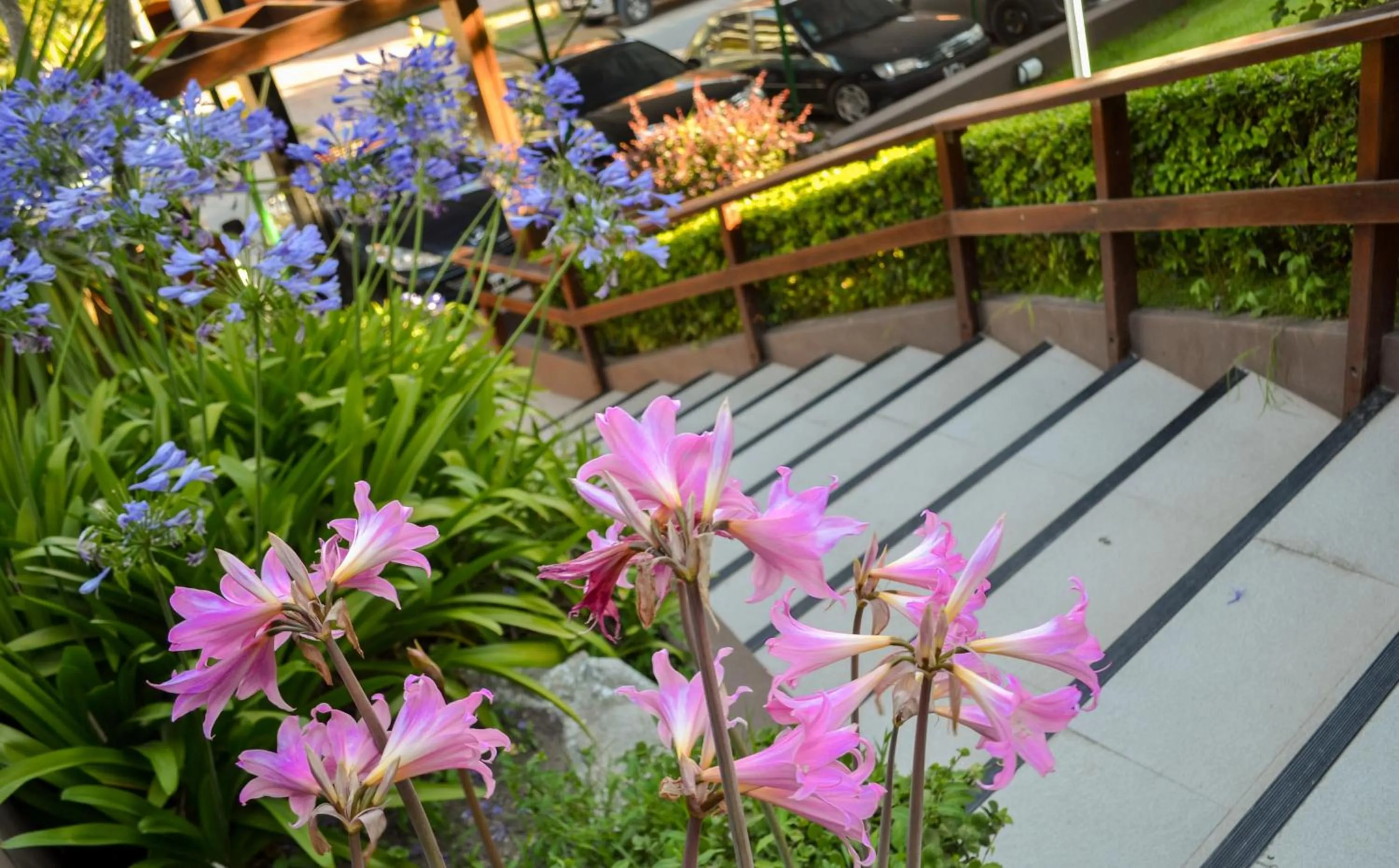 Patio in Hotel Rideamus
