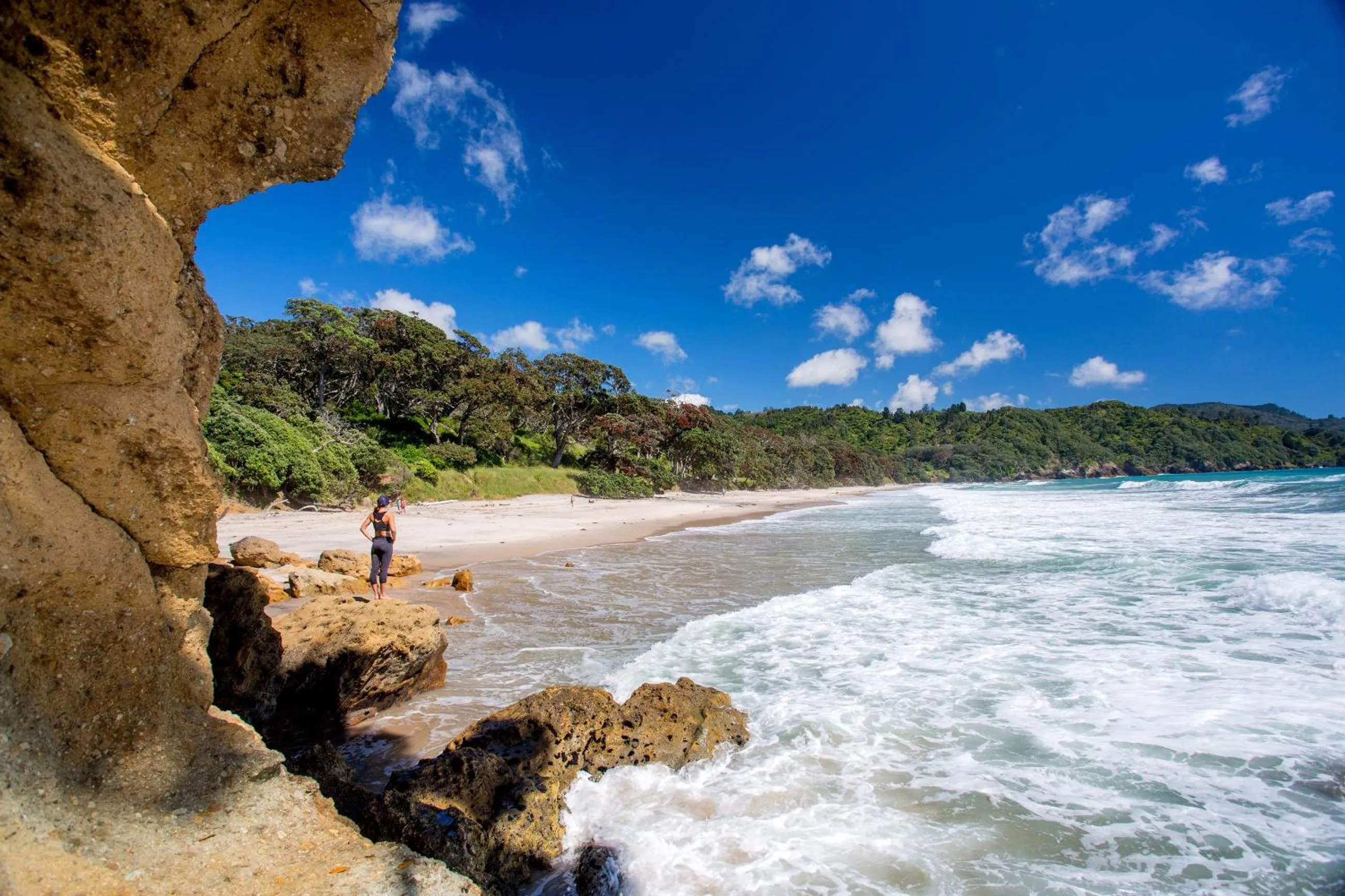 Natural landscape in Tasman Holiday Parks - Beachaven