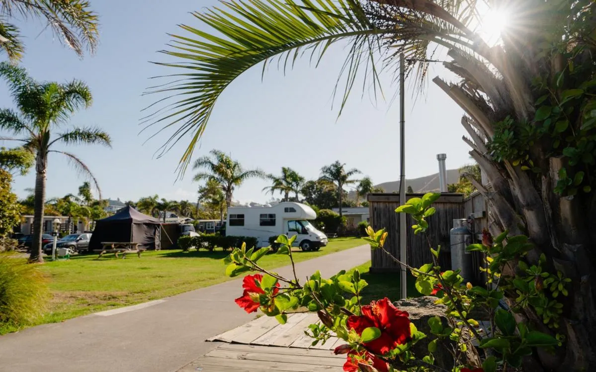 Spring in Tasman Holiday Parks - Beachaven