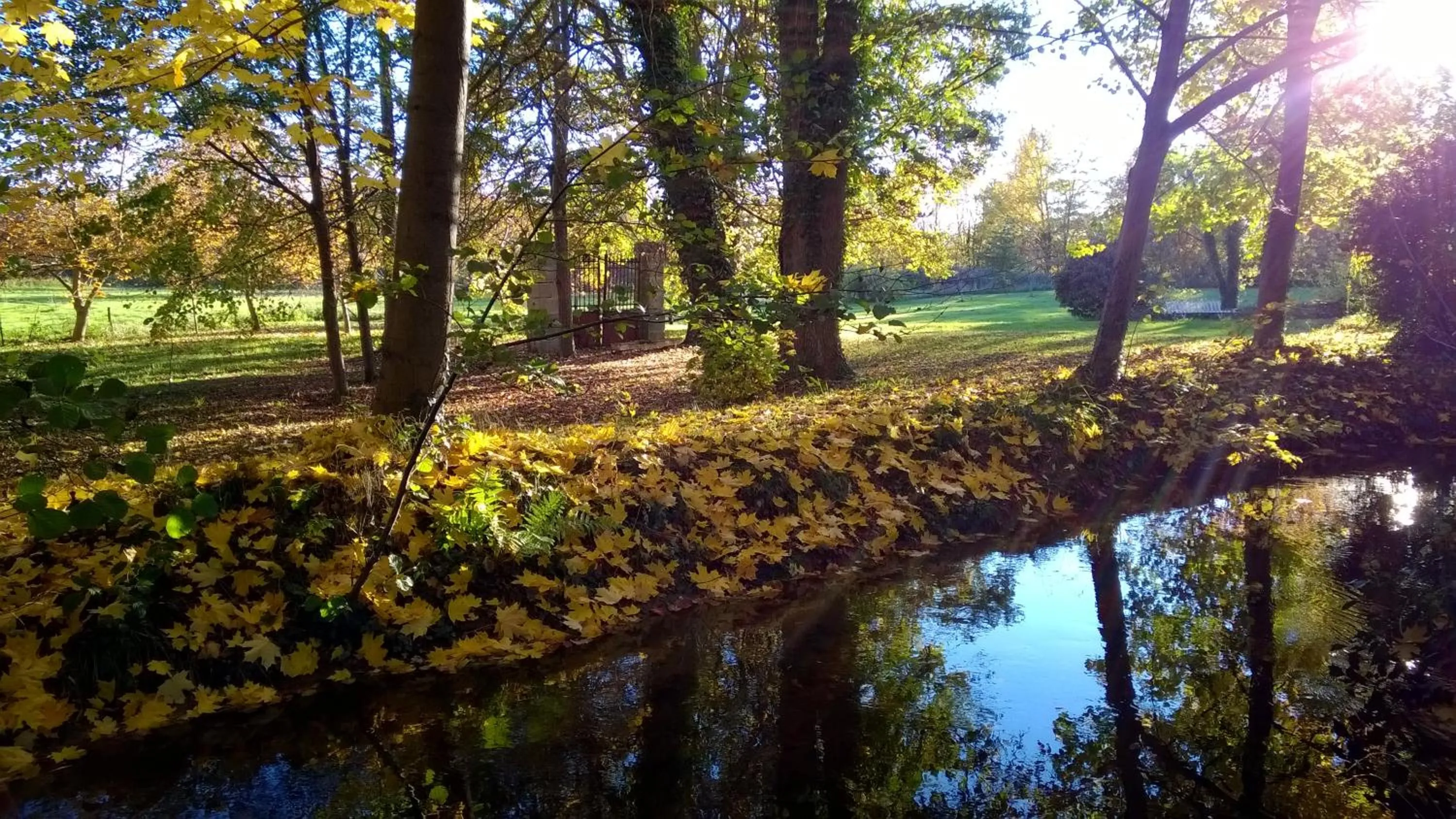 Natural landscape in Château de la Vernède, la Grande Vernède