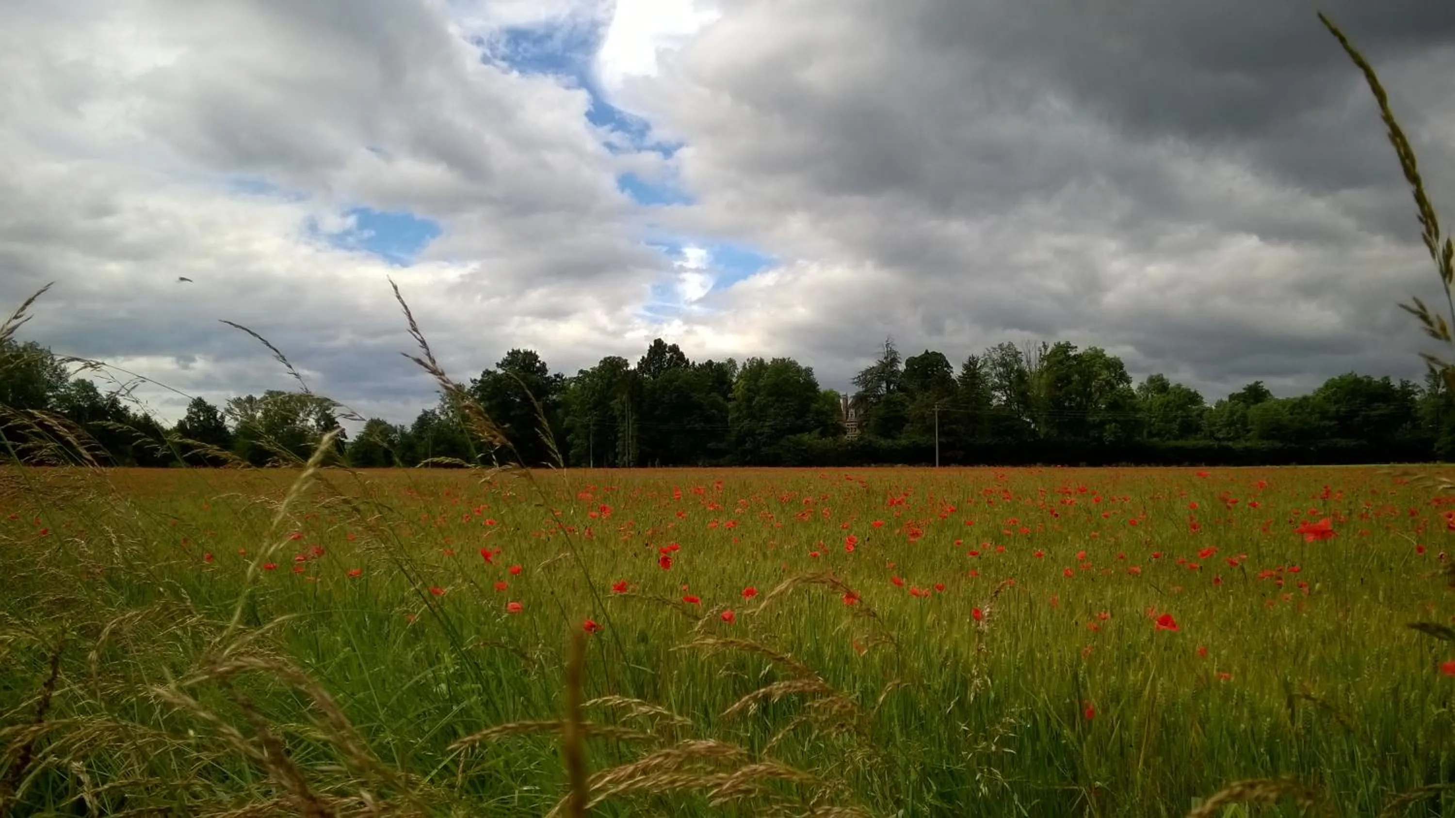 On site in Château de la Vernède, la Grande Vernède