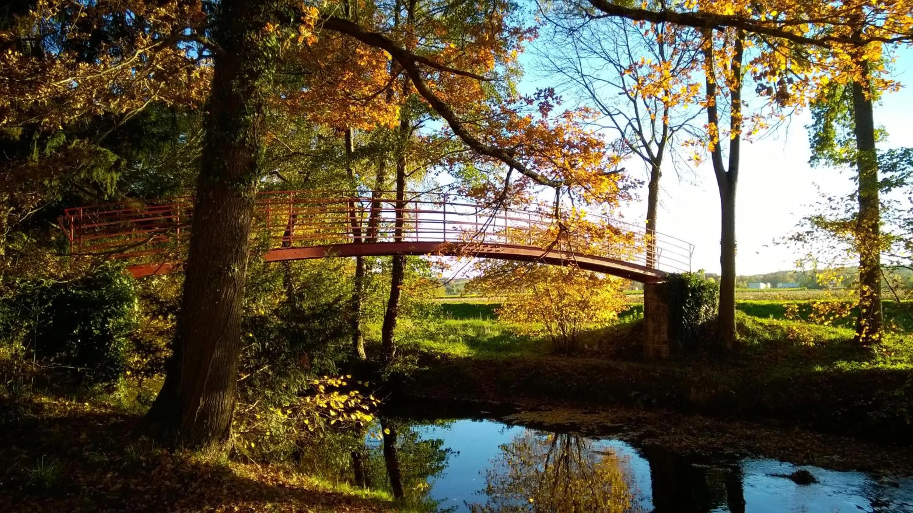 Natural landscape in Château de la Vernède, la Grande Vernède