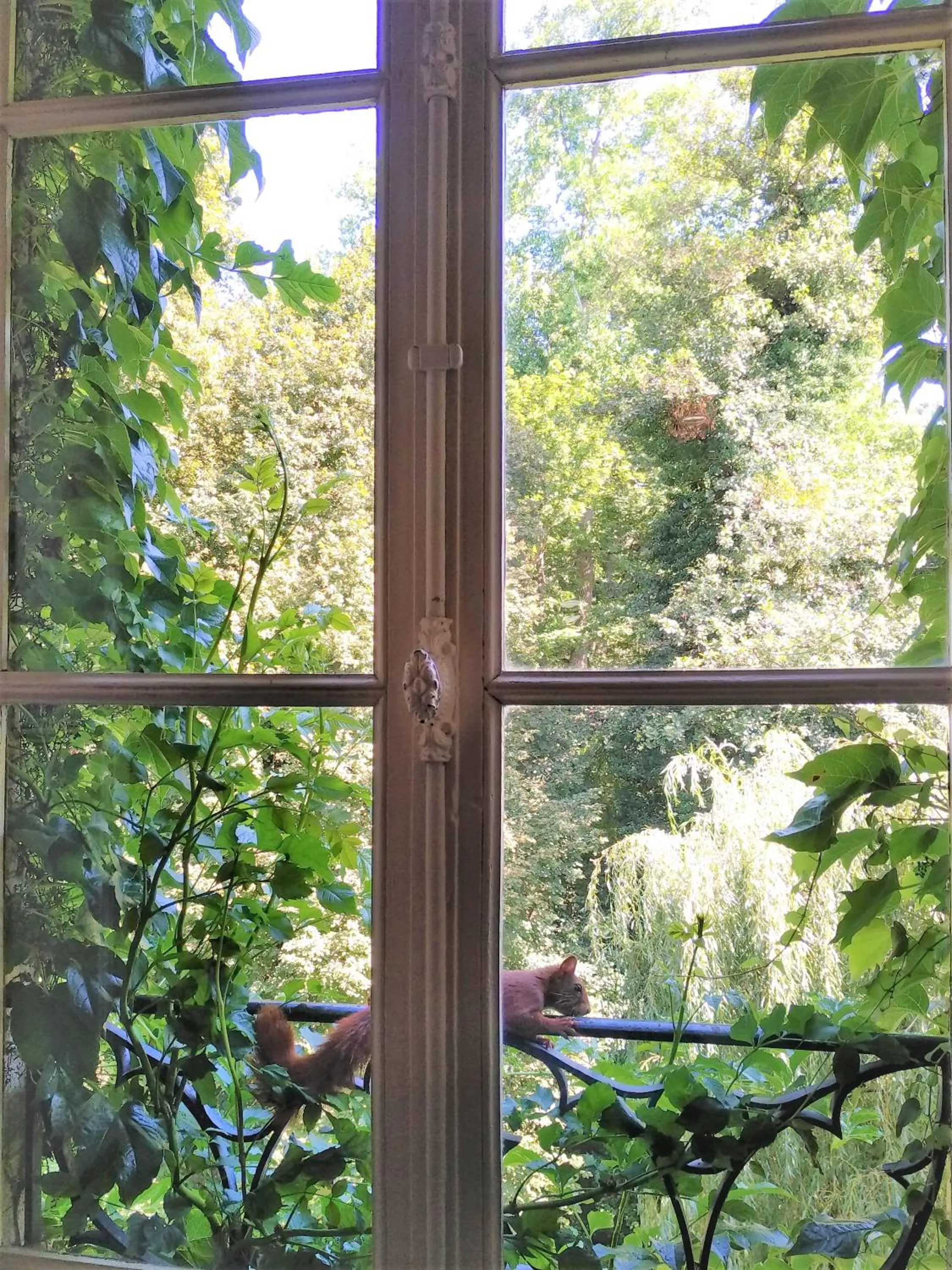 Garden in Château de la Vernède, la Grande Vernède