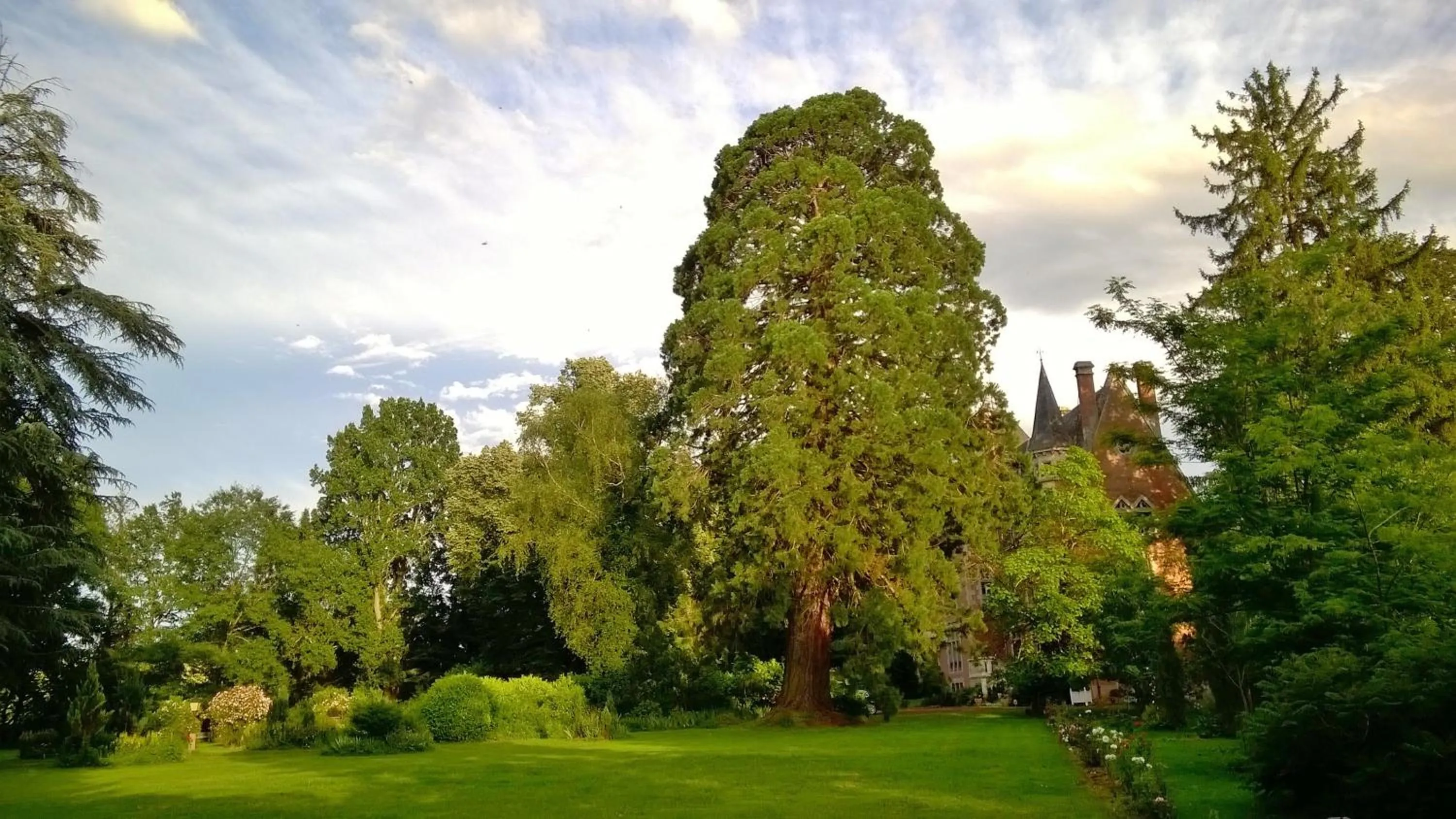 Garden in Château de la Vernède, la Grande Vernède