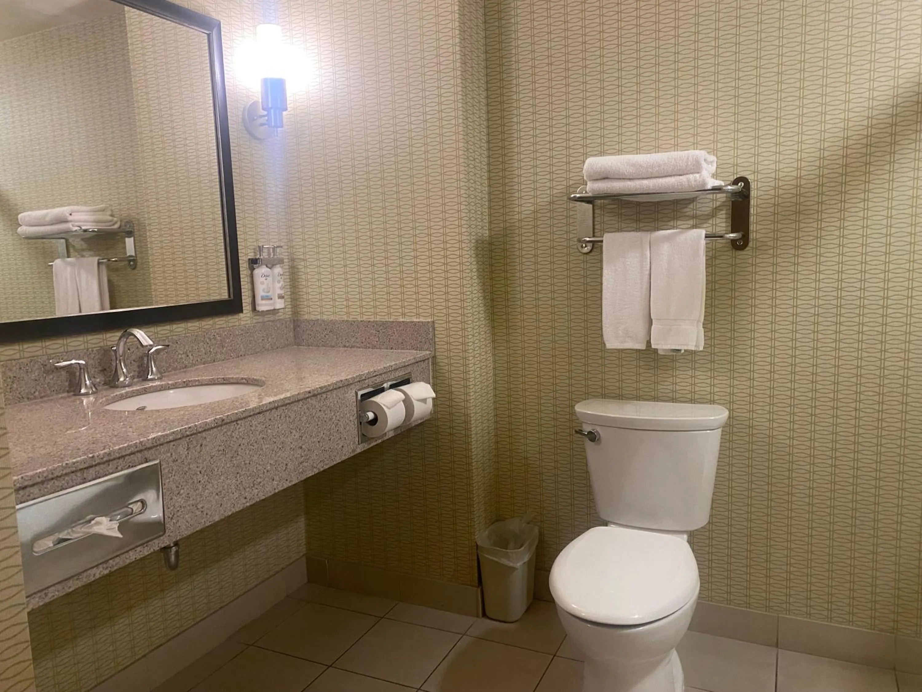 Toilet in Wingate by Wyndham Fort Saskatchewan