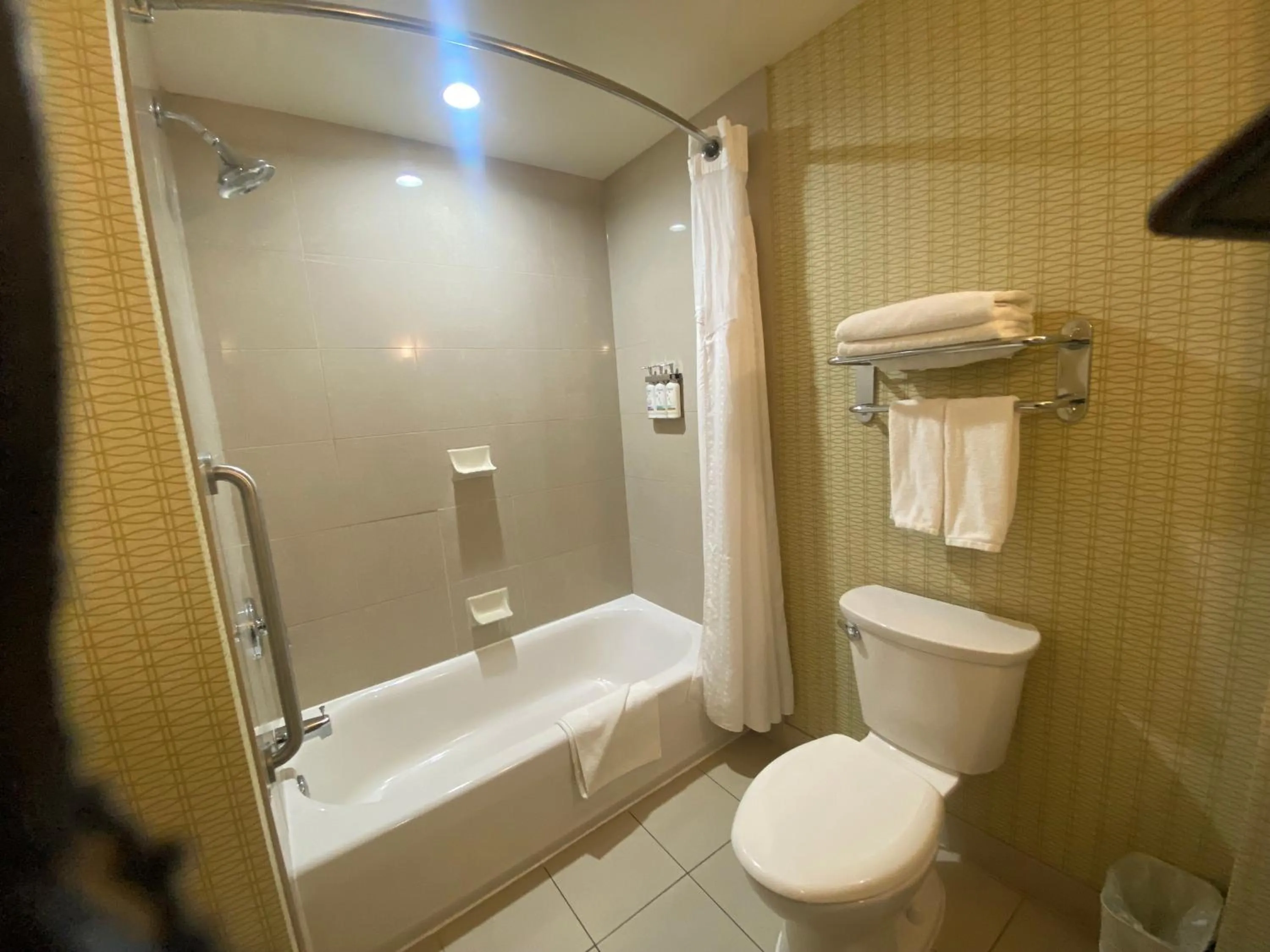 Toilet in Wingate by Wyndham Fort Saskatchewan