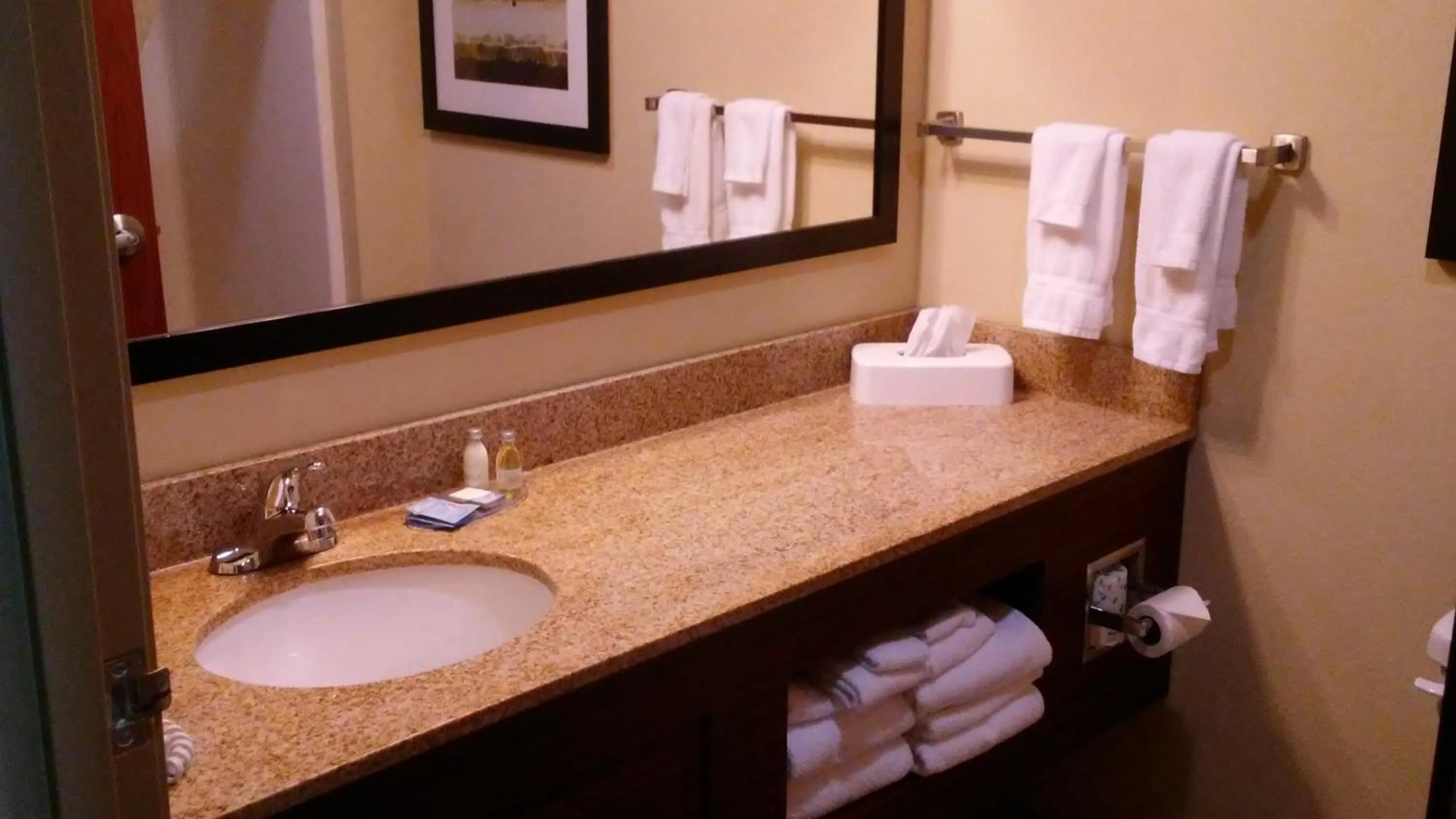 Bathroom in Comfort Inn & Suites Marquette - Prairie du Chien