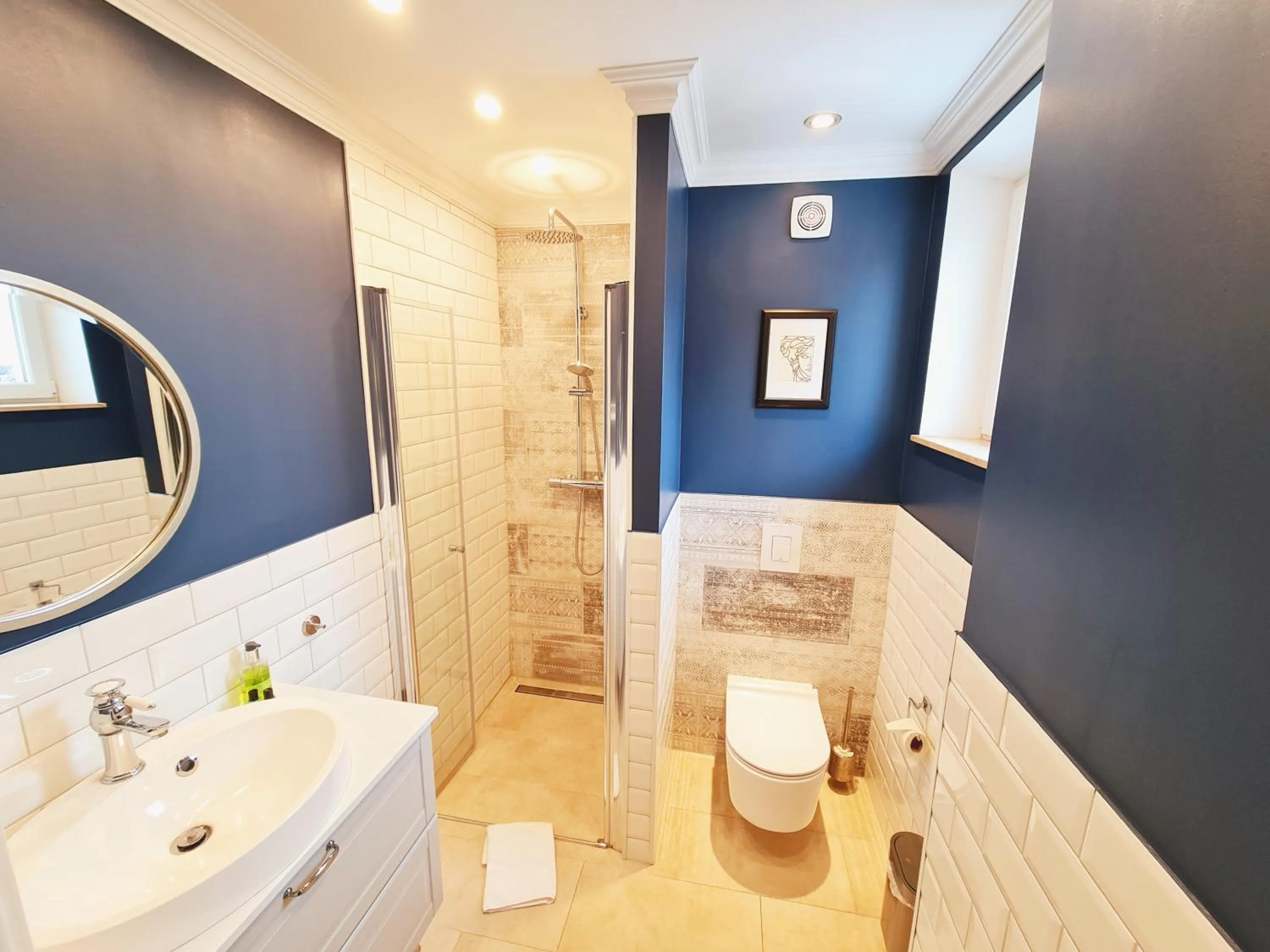 Shower in Das Friedrich